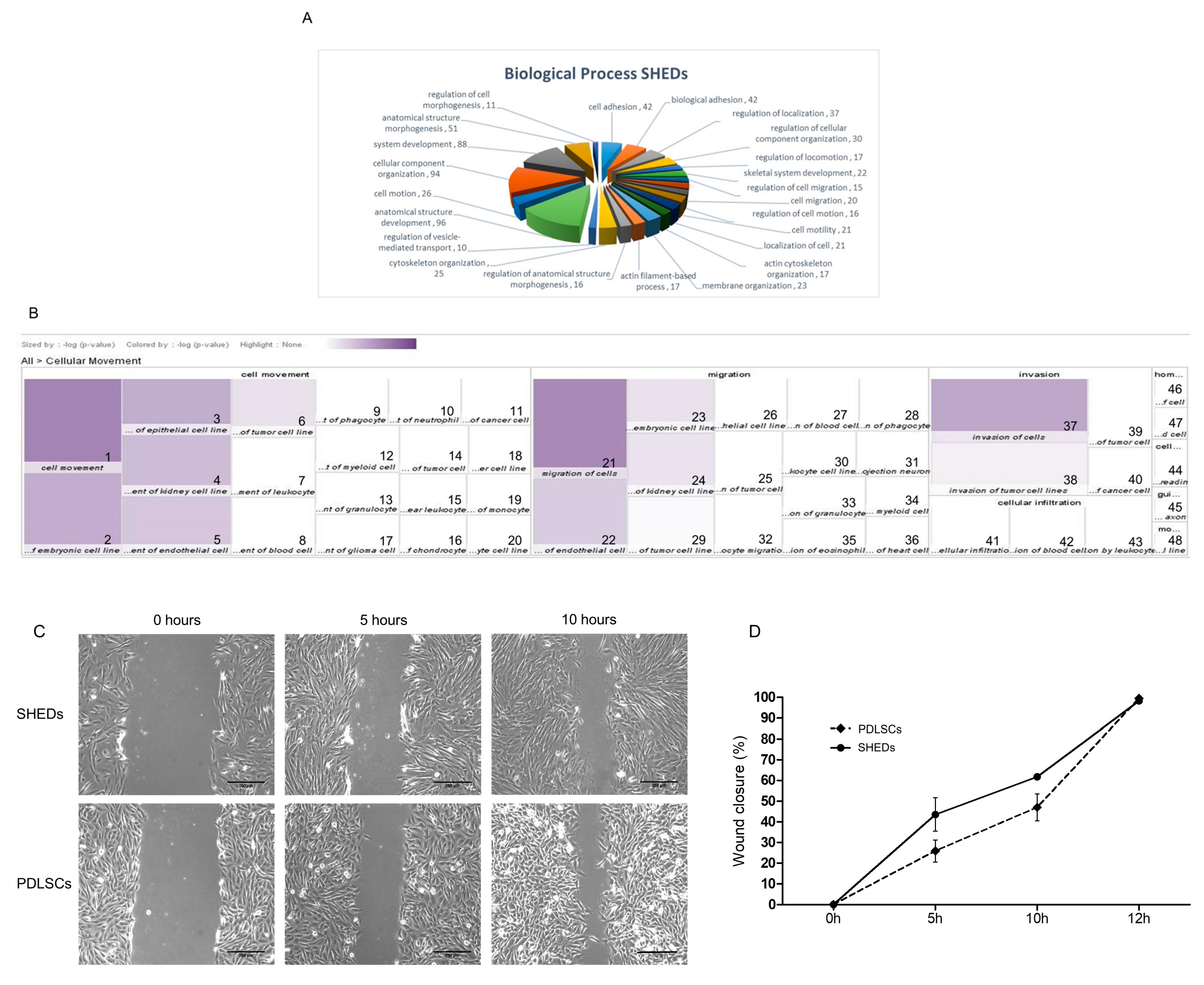 IJMS | Free Full-Text | A High-Resolution Proteomic Landscaping of Primary  Human Dental Stem Cells: Identification of SHED- and PDLSC-Specific  Biomarkers | HTML