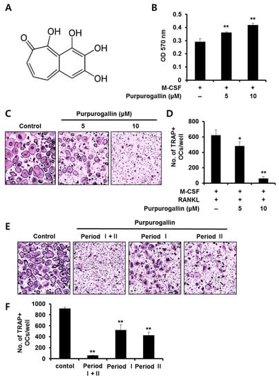 Ijms Free Full Text Inhibitory Effect Of Purpurogallin On