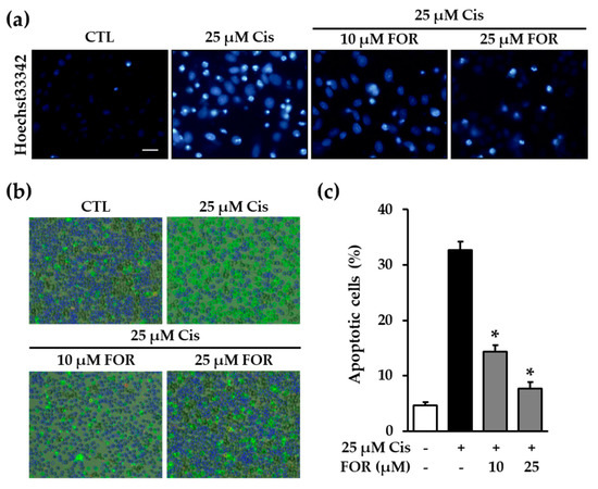 IJMS | Free Full-Text | Inhibition of Intracellular ROS Accumulation by Sns-Brigh10