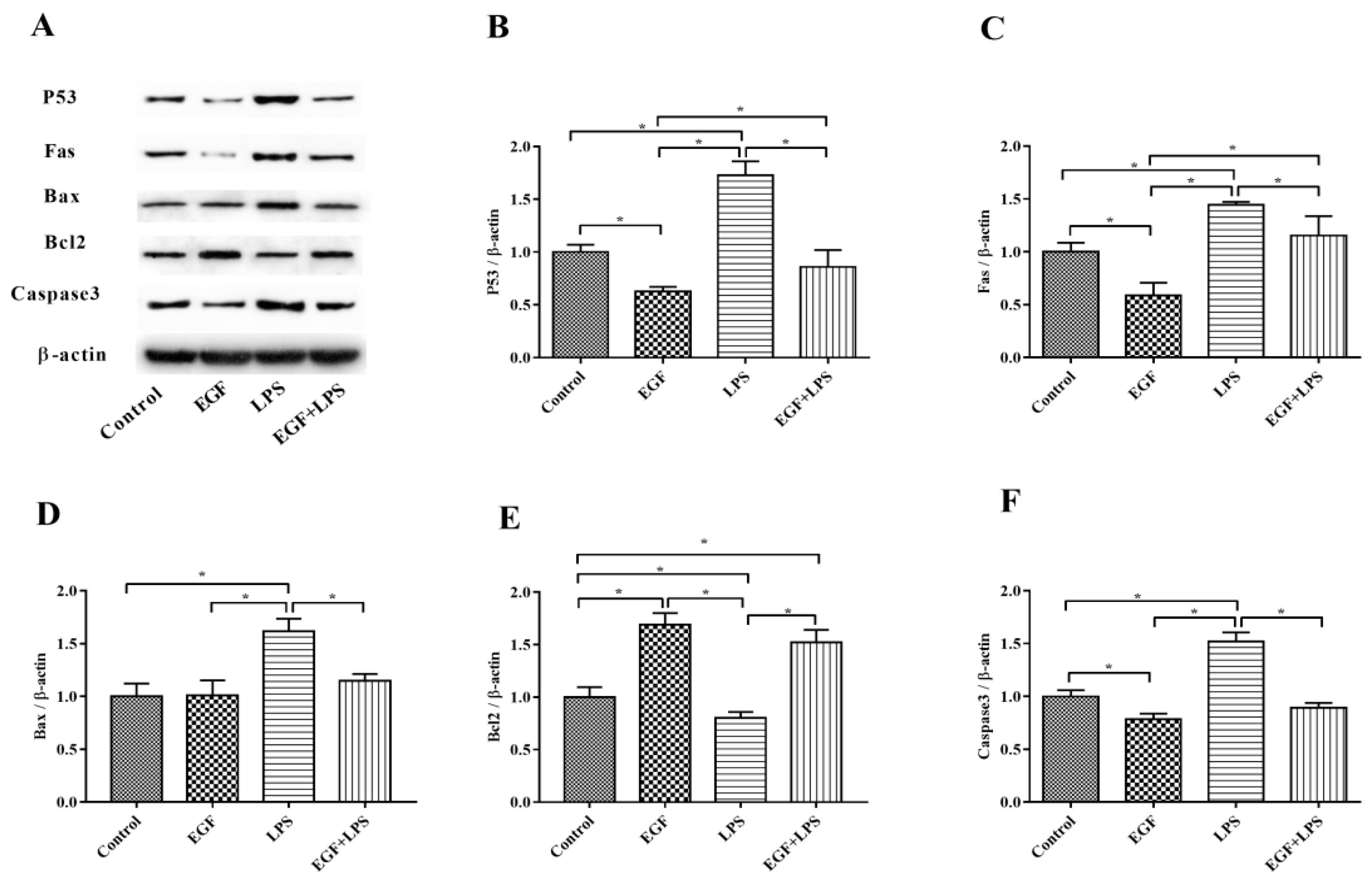 Ijms 19 00848 g007 Ijms 19 00848 g007