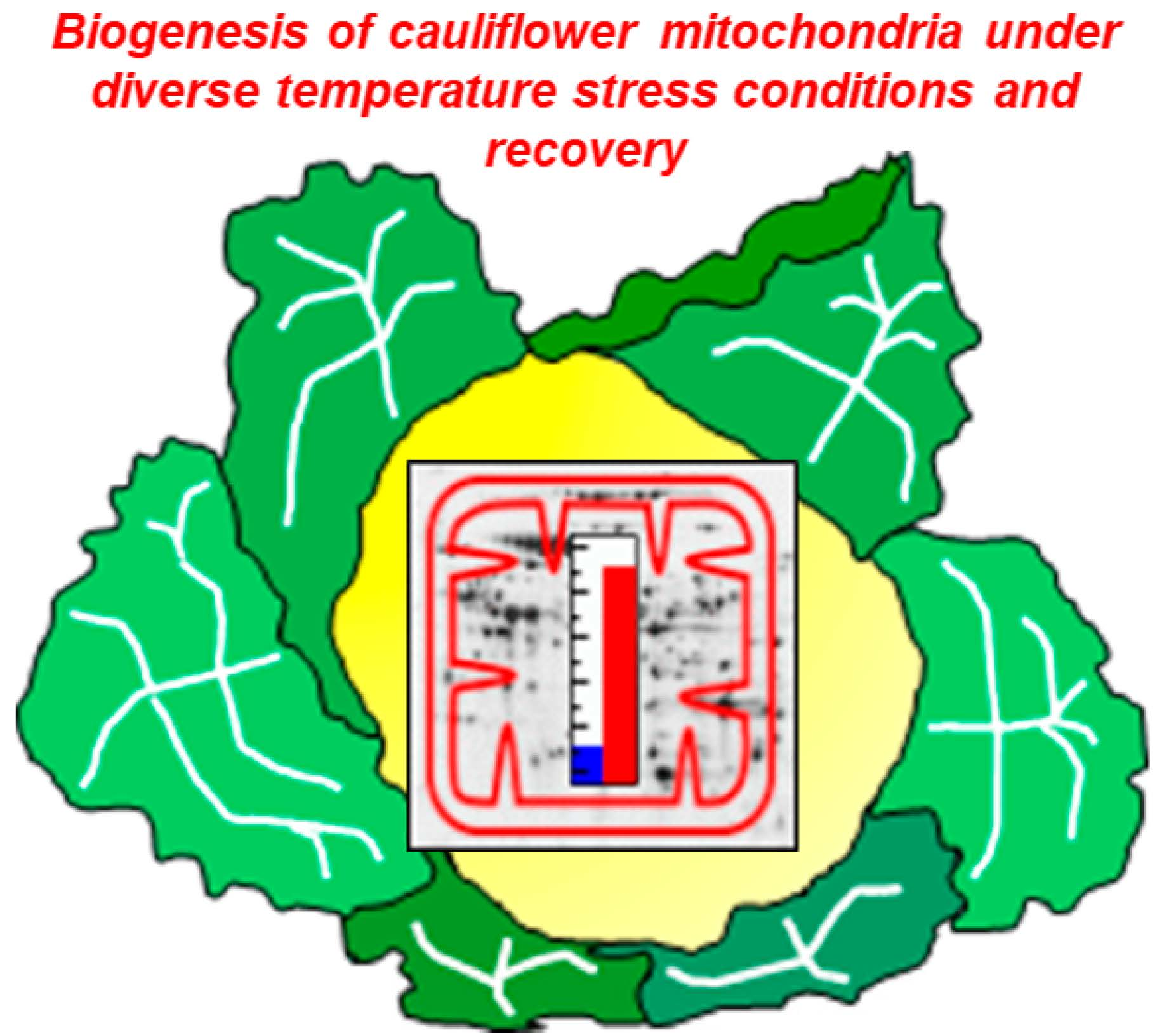 International journal of molecular sciences