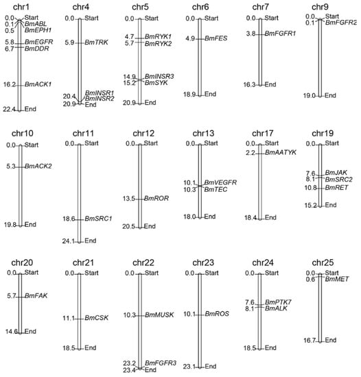 Test L4M8 Study Guide