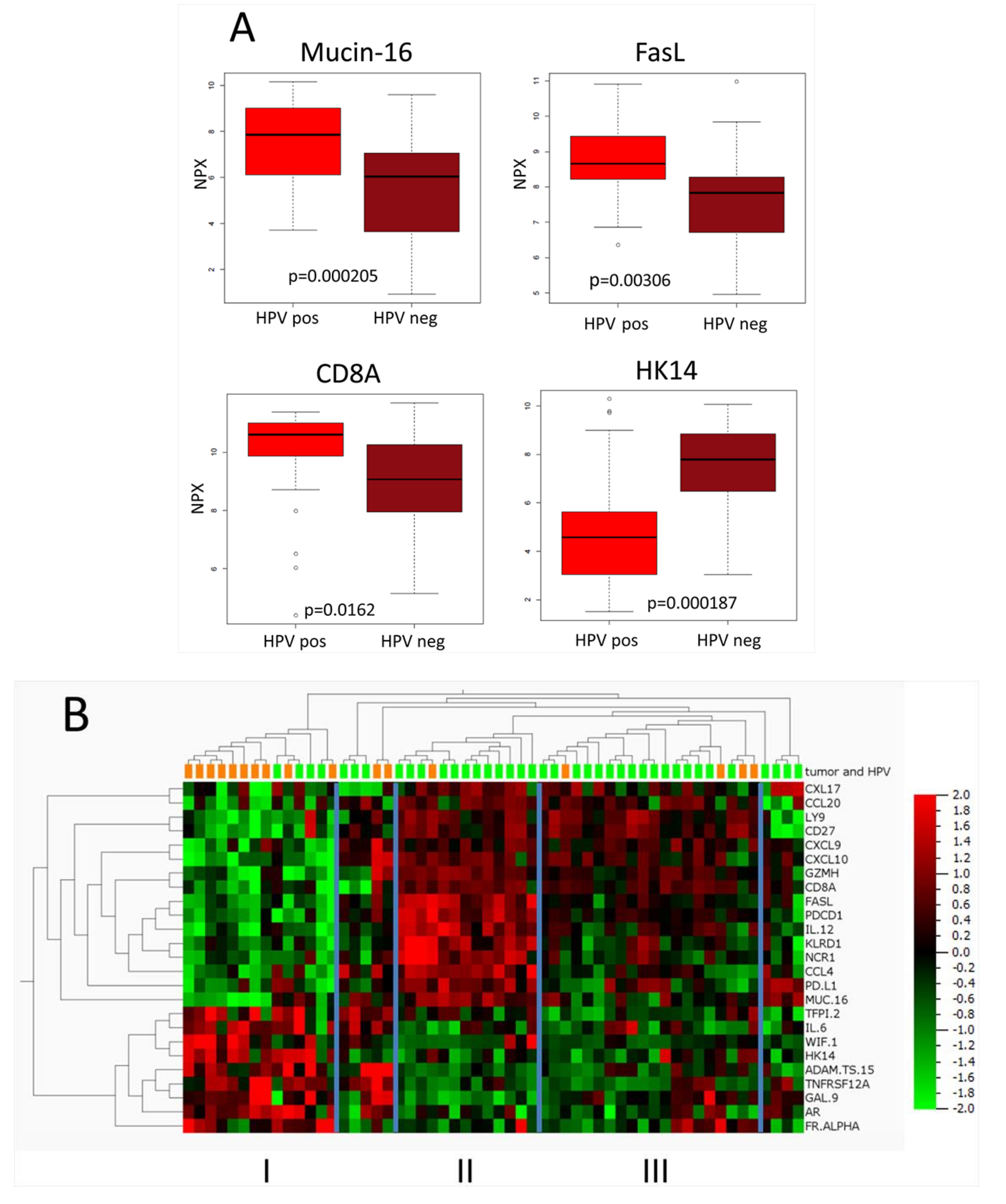 IJMS | Free Full-Text | Protein Expression in Tonsillar and Base of Tongue  Cancer and in Relation to Human Papillomavirus (HPV) and Clinical Outcome |  HTML