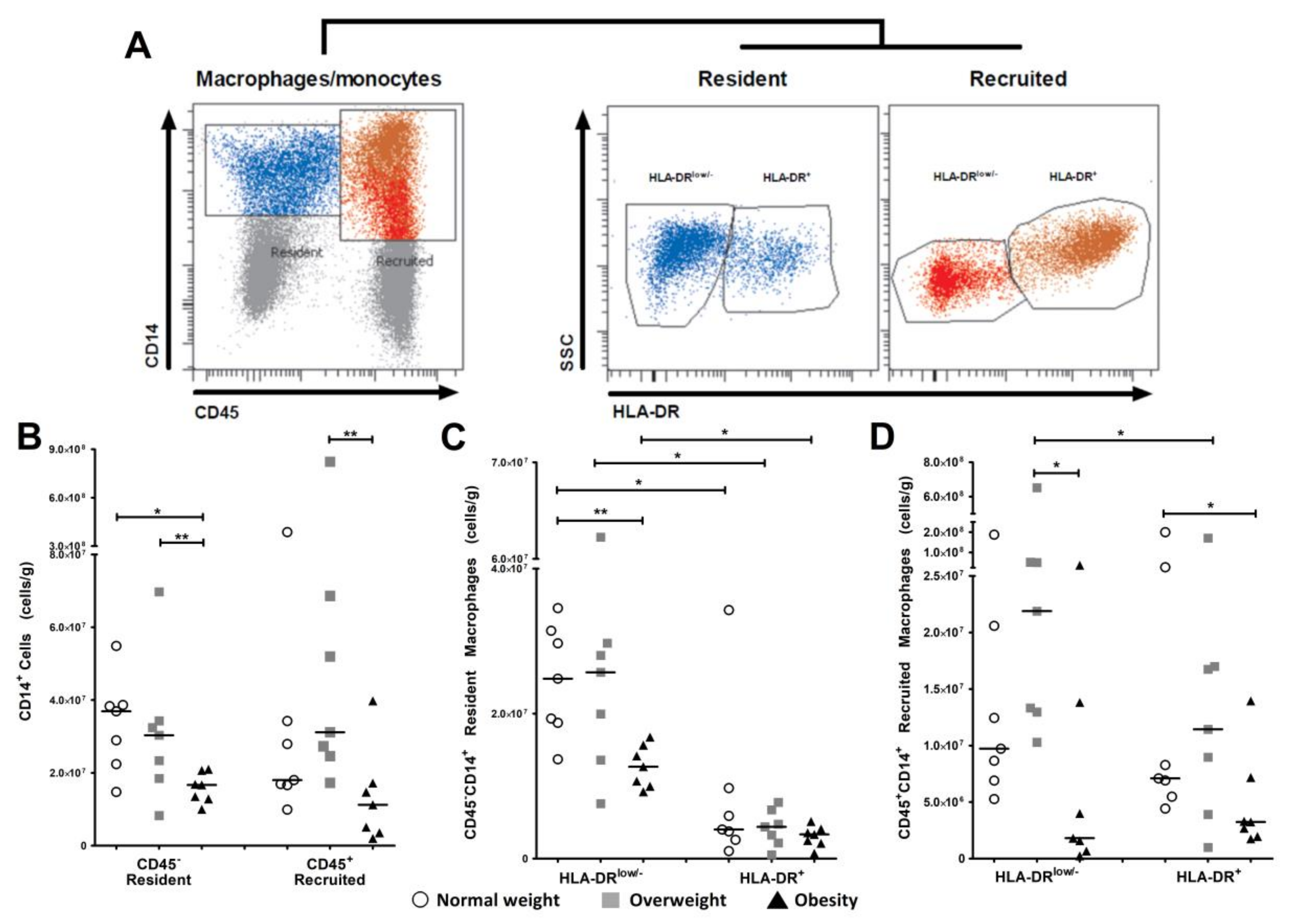 legislative composition of j&k council from Populations  Tissue Macrophage Visceral IJMS Women in Full Free  Pregnant  Text Adipose