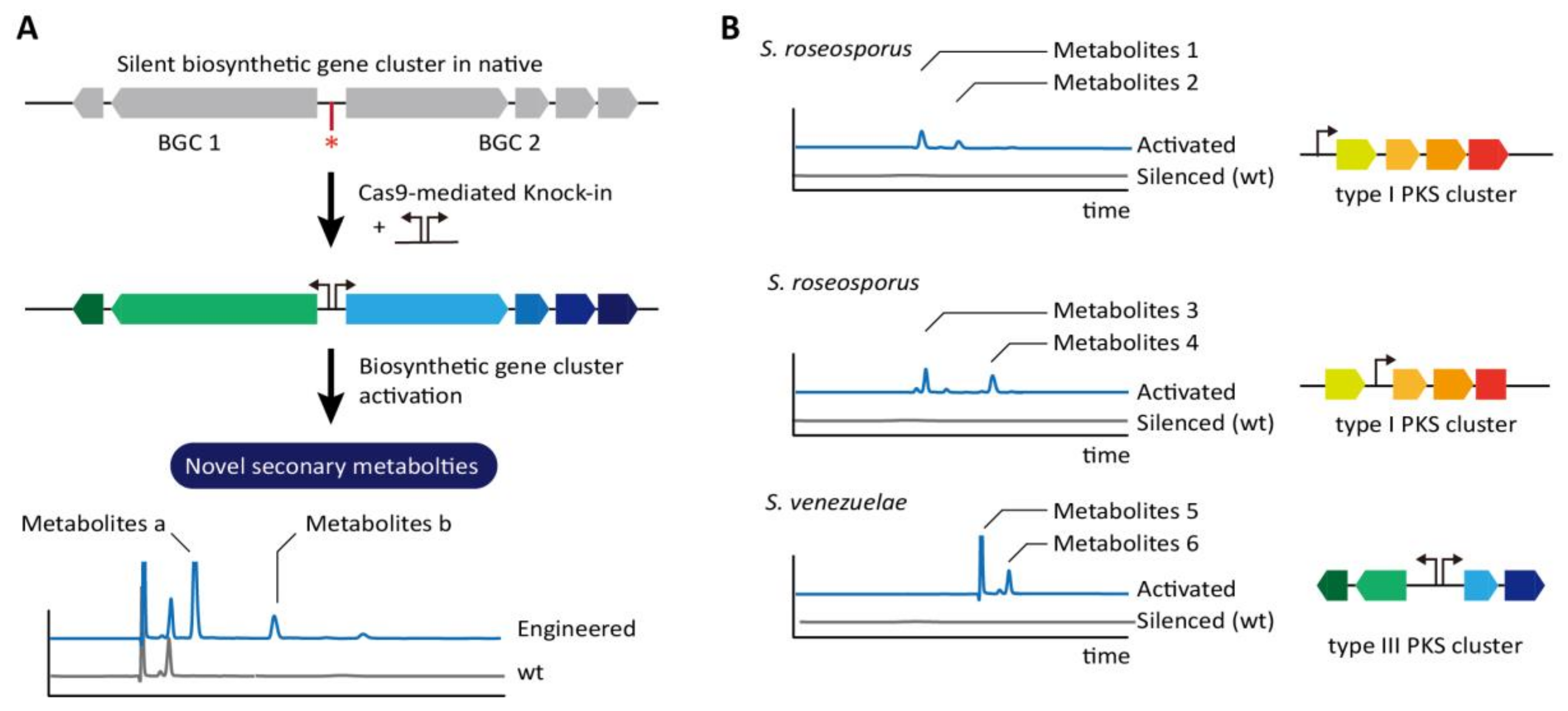 Ijms 19 01089 g004 Ijms 19 01089 g004