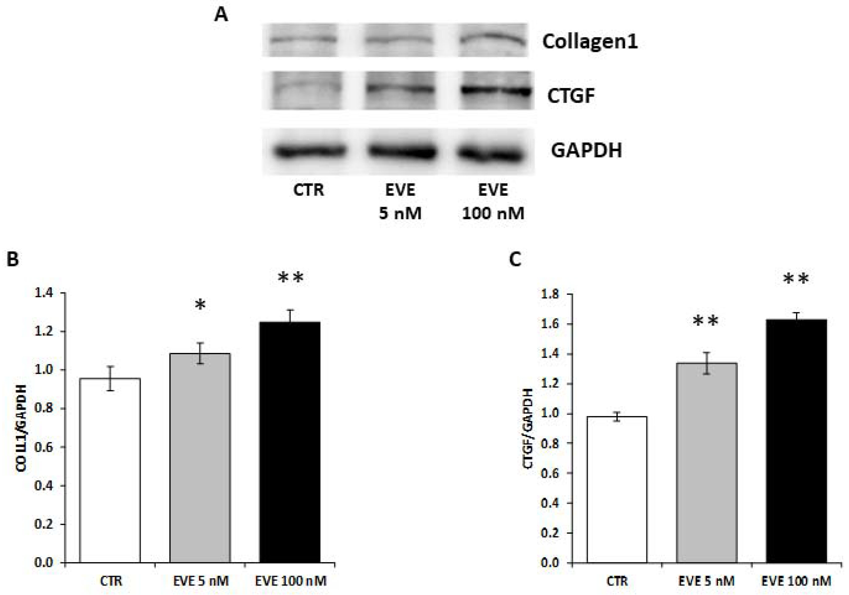 Ijms 19 01250 g005 Ijms 19 01250 g005