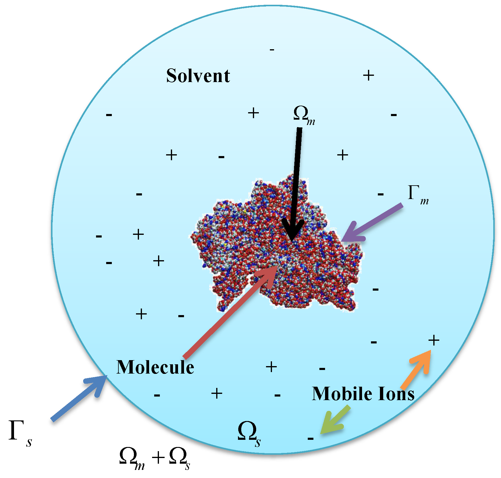 Ijms 19 01383 g001 Ijms 19 01383 g001