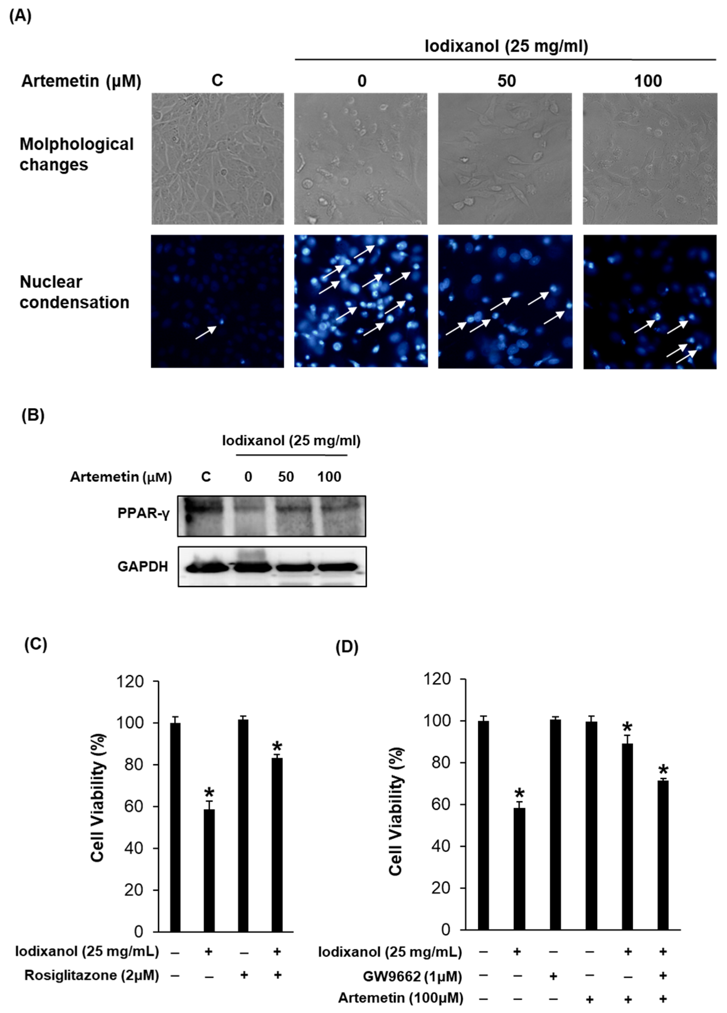 Ijms 19 01387 g006 Ijms 19 01387 g006