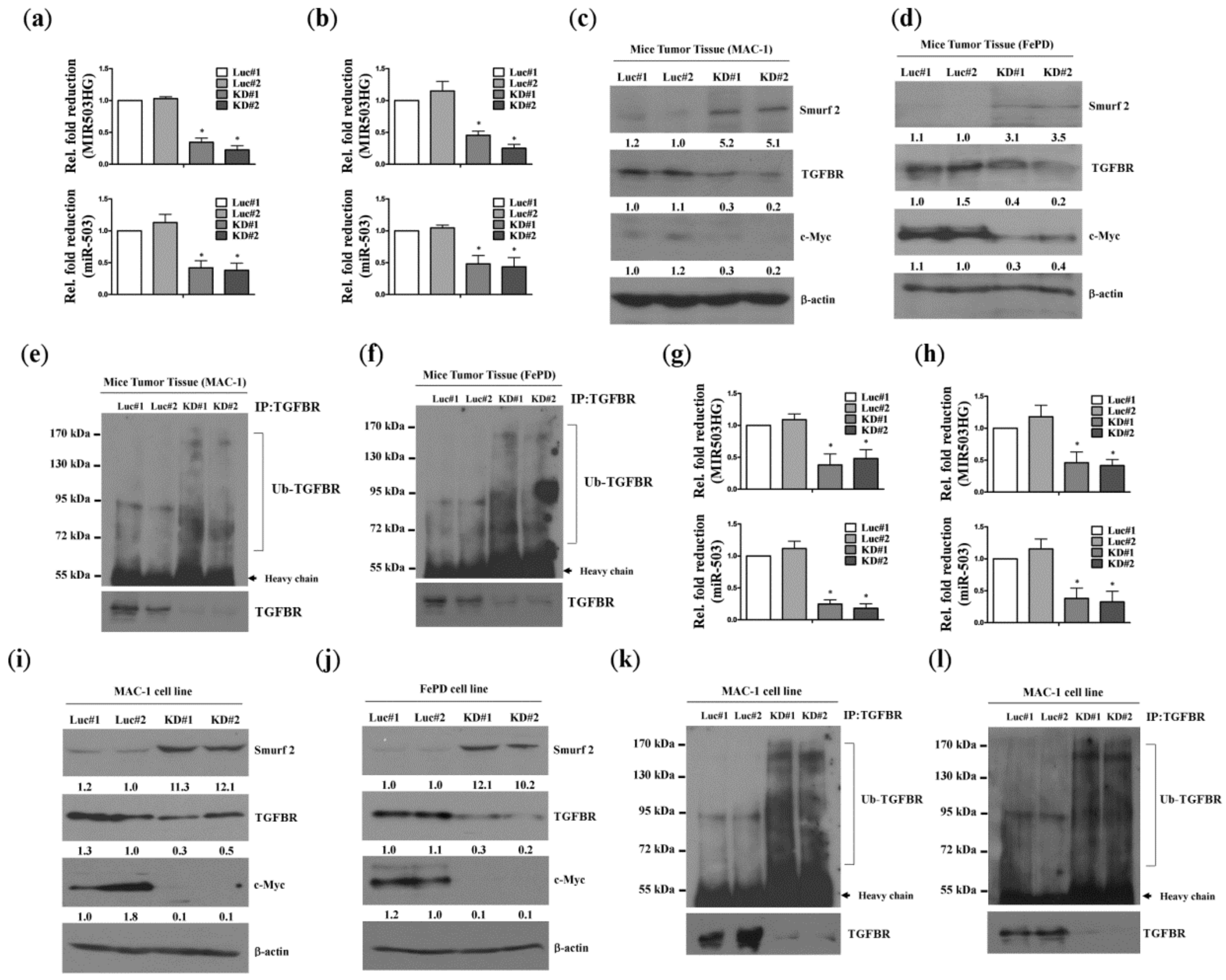 Ijms 19 01463 g003 Ijms 19 01463 g003