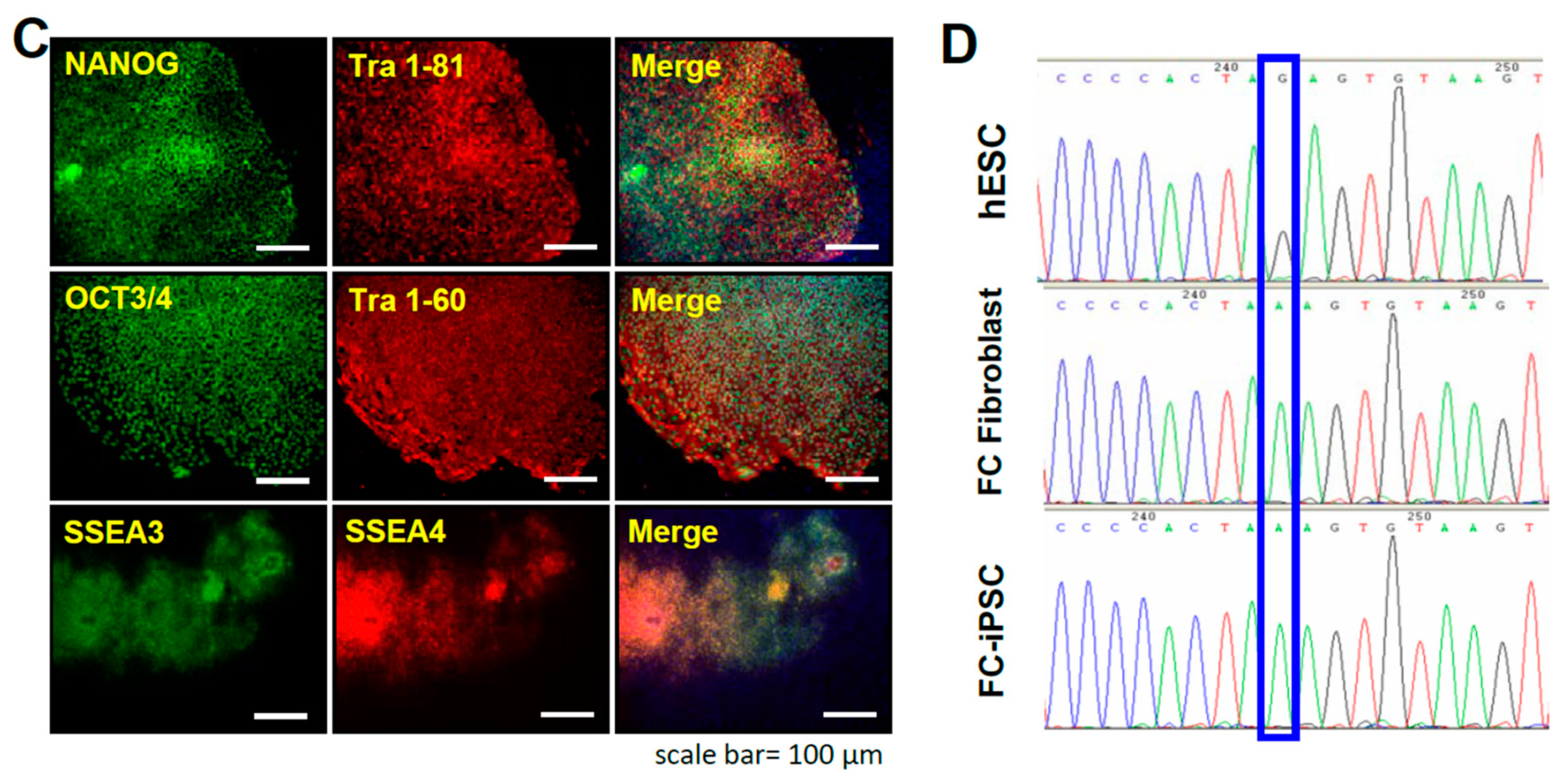 Ijms 19 01480 g001b Ijms 19 01480 g001b