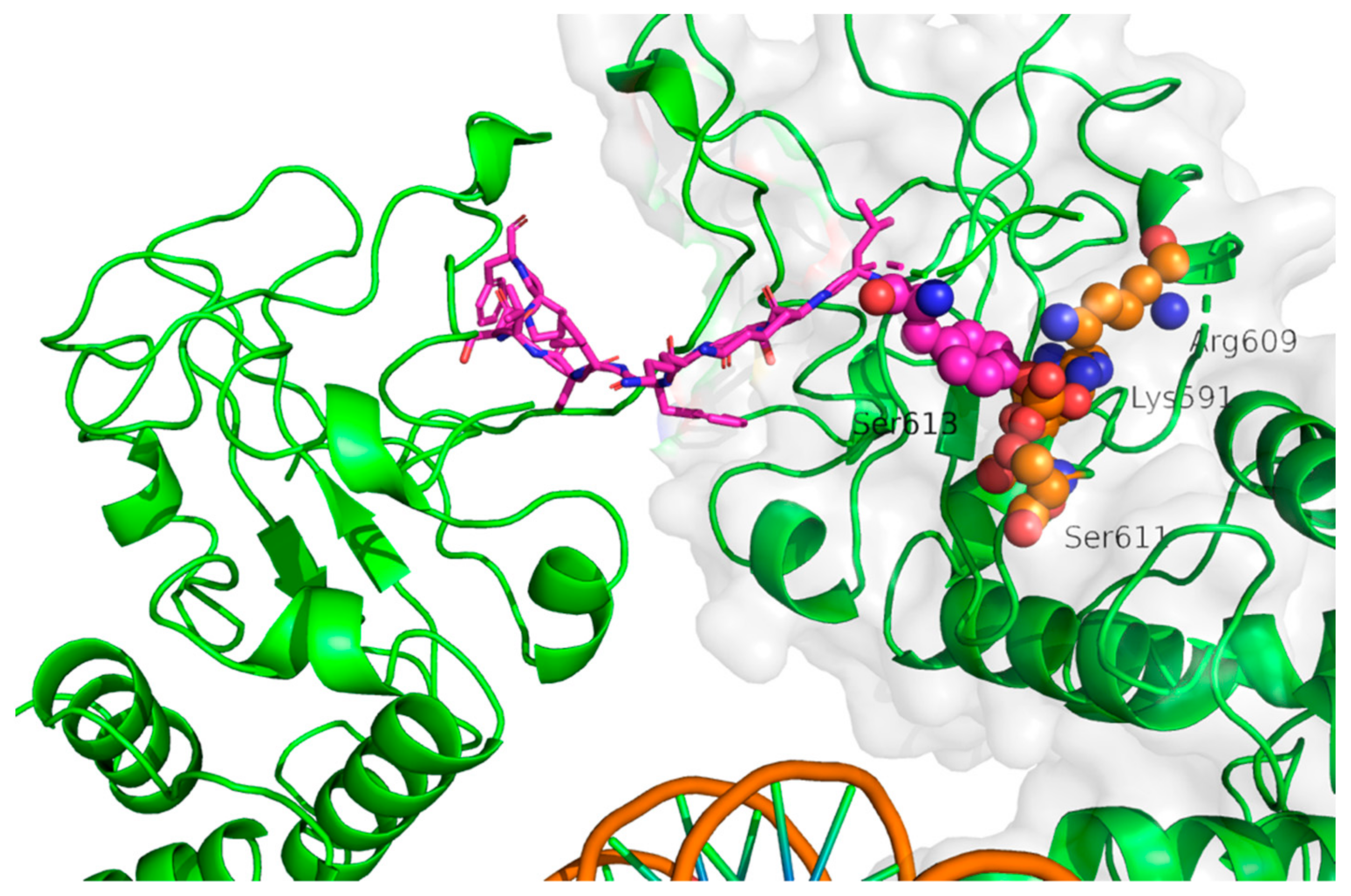 Ijms Free Full Text Structural Biology Of Stat3 And Its Implications For Anticancer Therapies Development Html