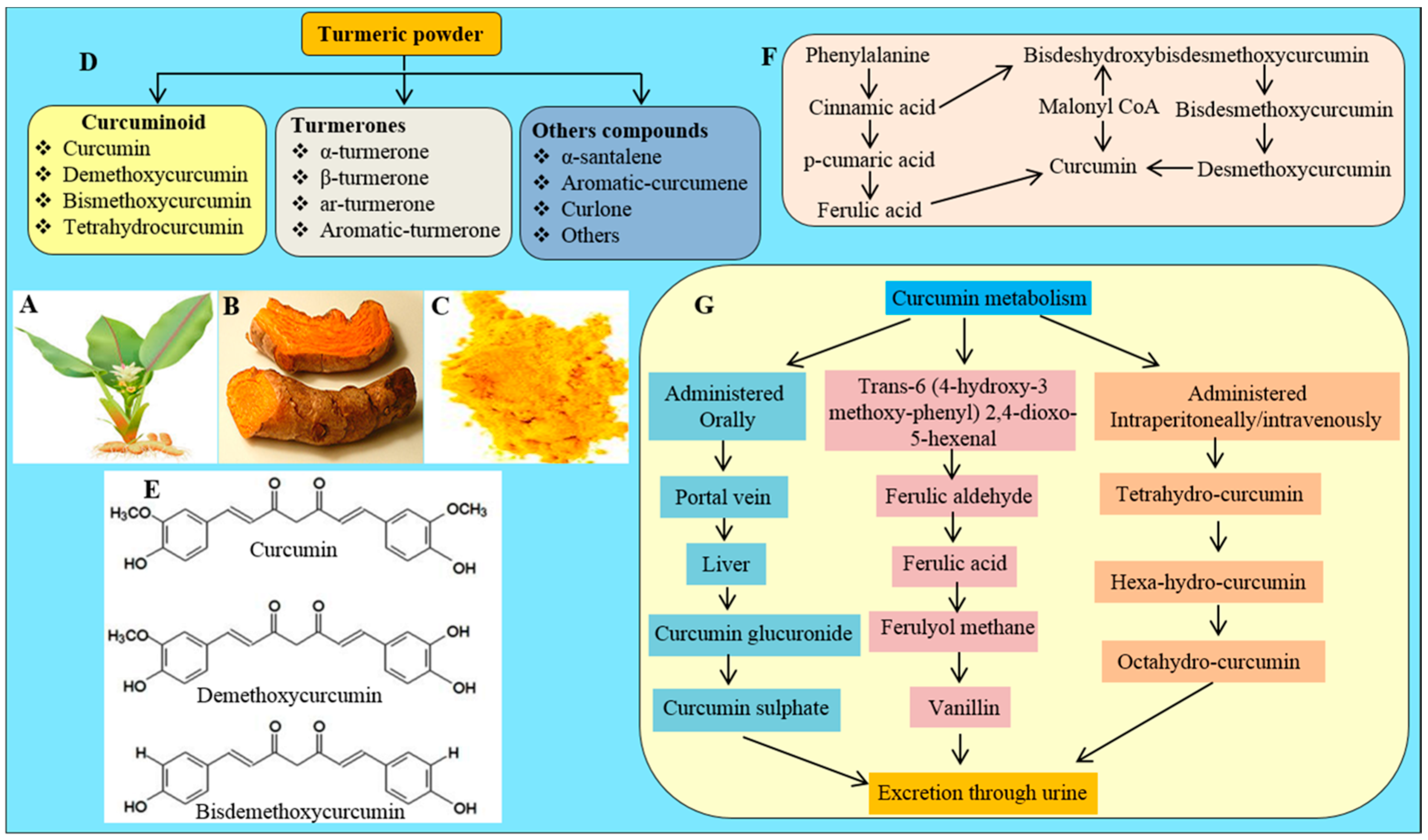 Ijms Free Full Text Use Of Curcumin A Natural Polyphenol For Targeting Molecular Pathways In Treating Age Related Neurodegenerative Diseases Html