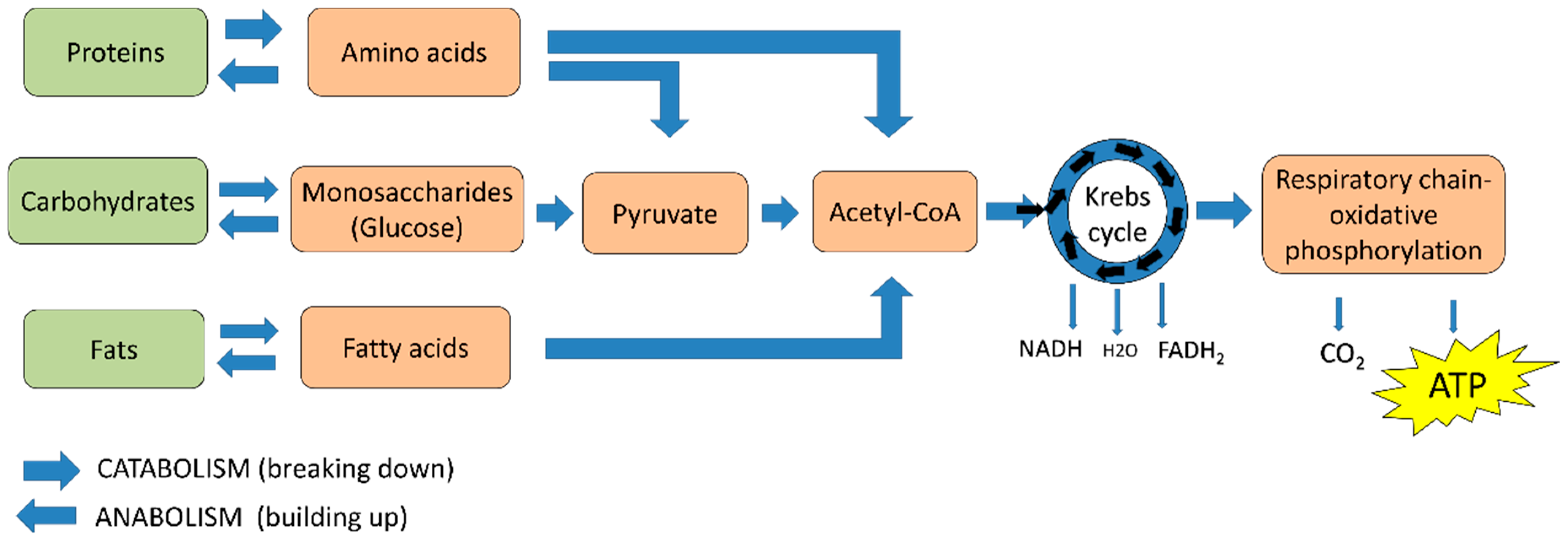 Compounding process