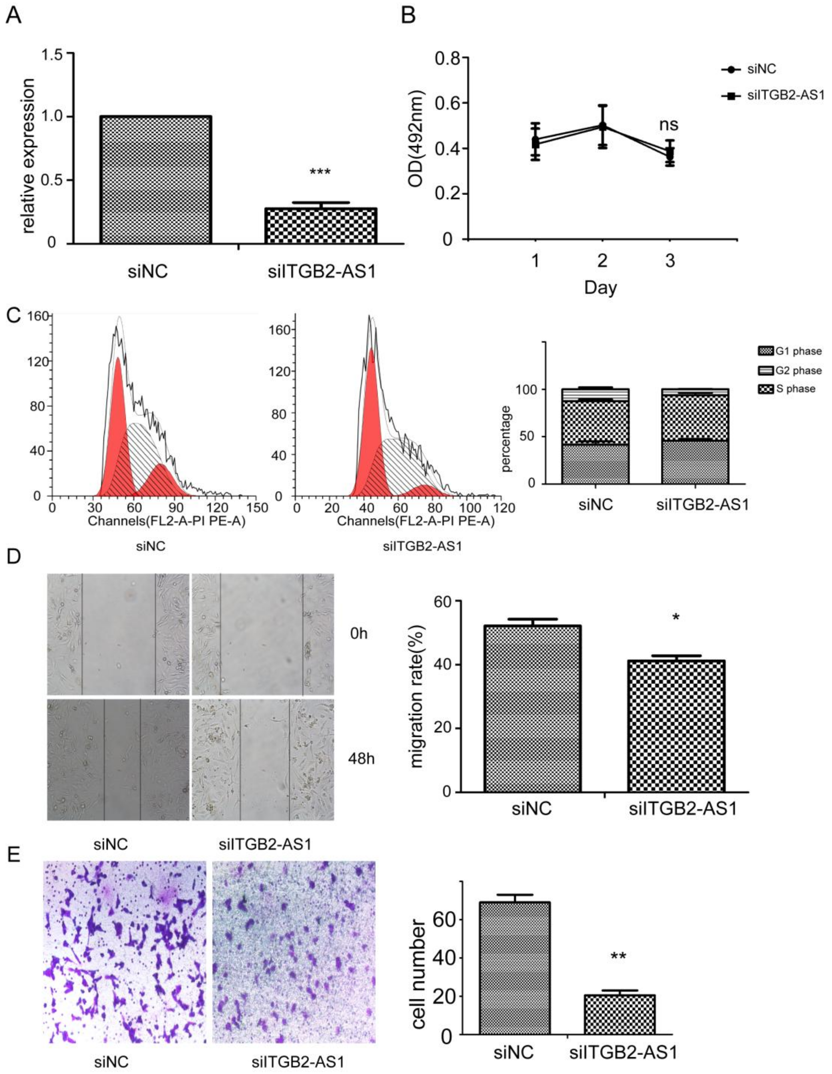 Ijms 19 01866 g003 Ijms 19 01866 g003
