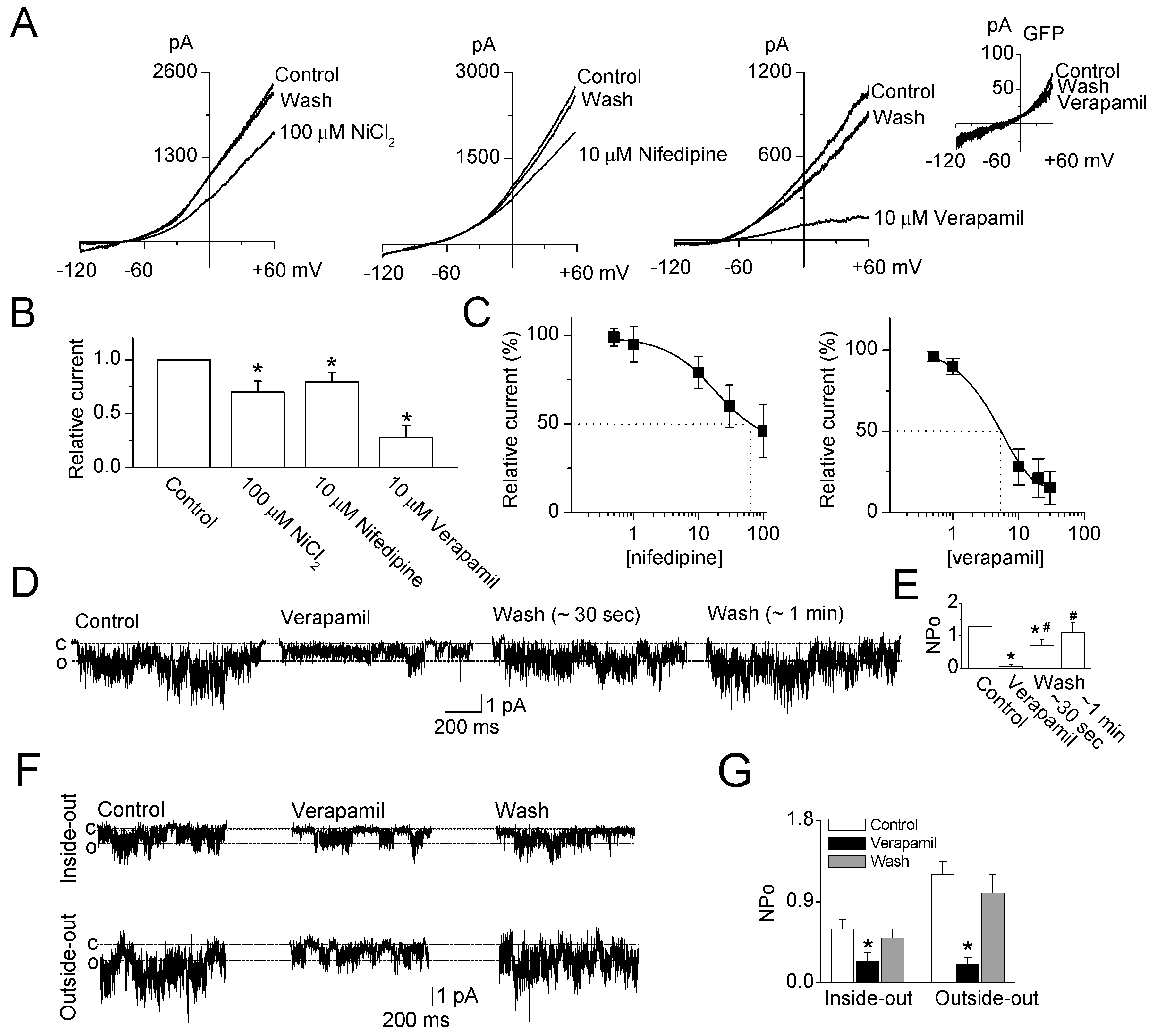 Ijms 19 01961 g001 Ijms 19 01961 g001