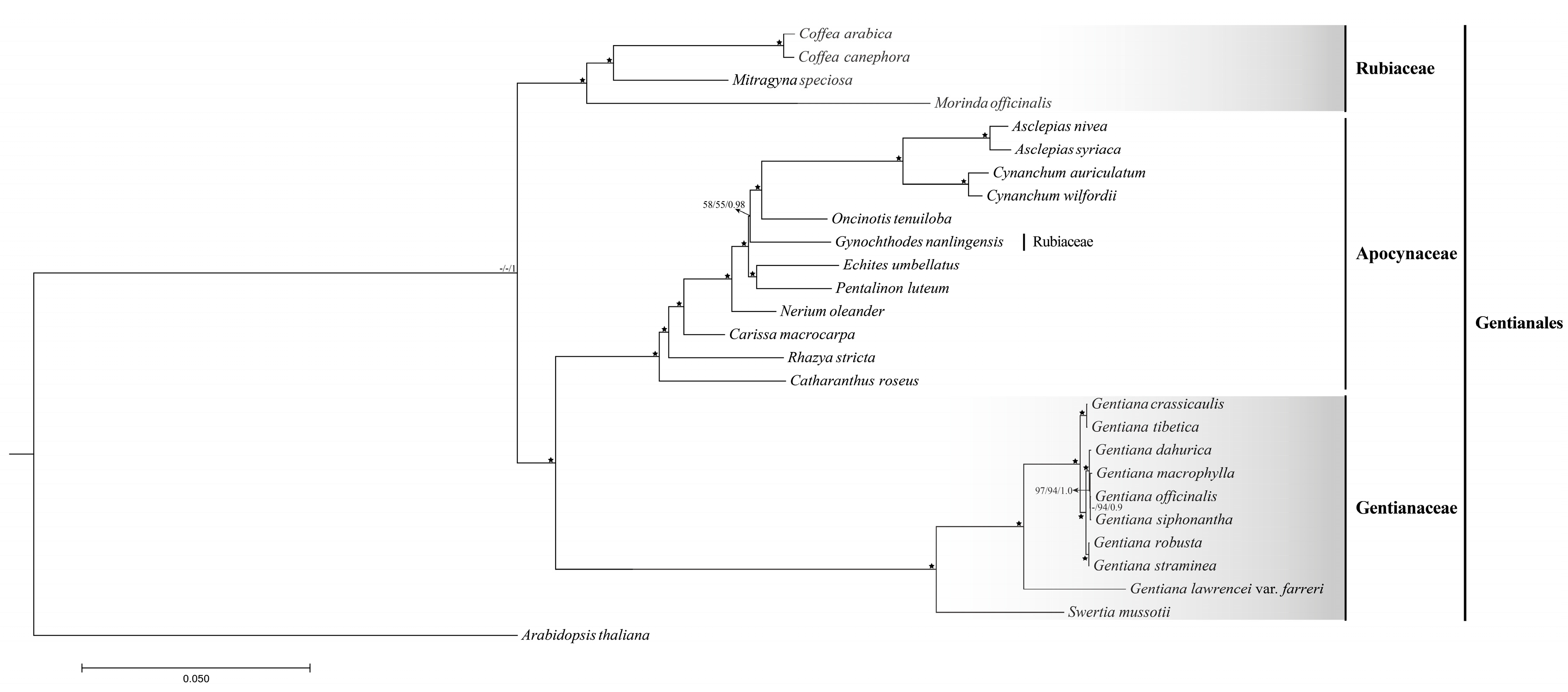 Ijms 19 01962 g007 Ijms 19 01962 g007