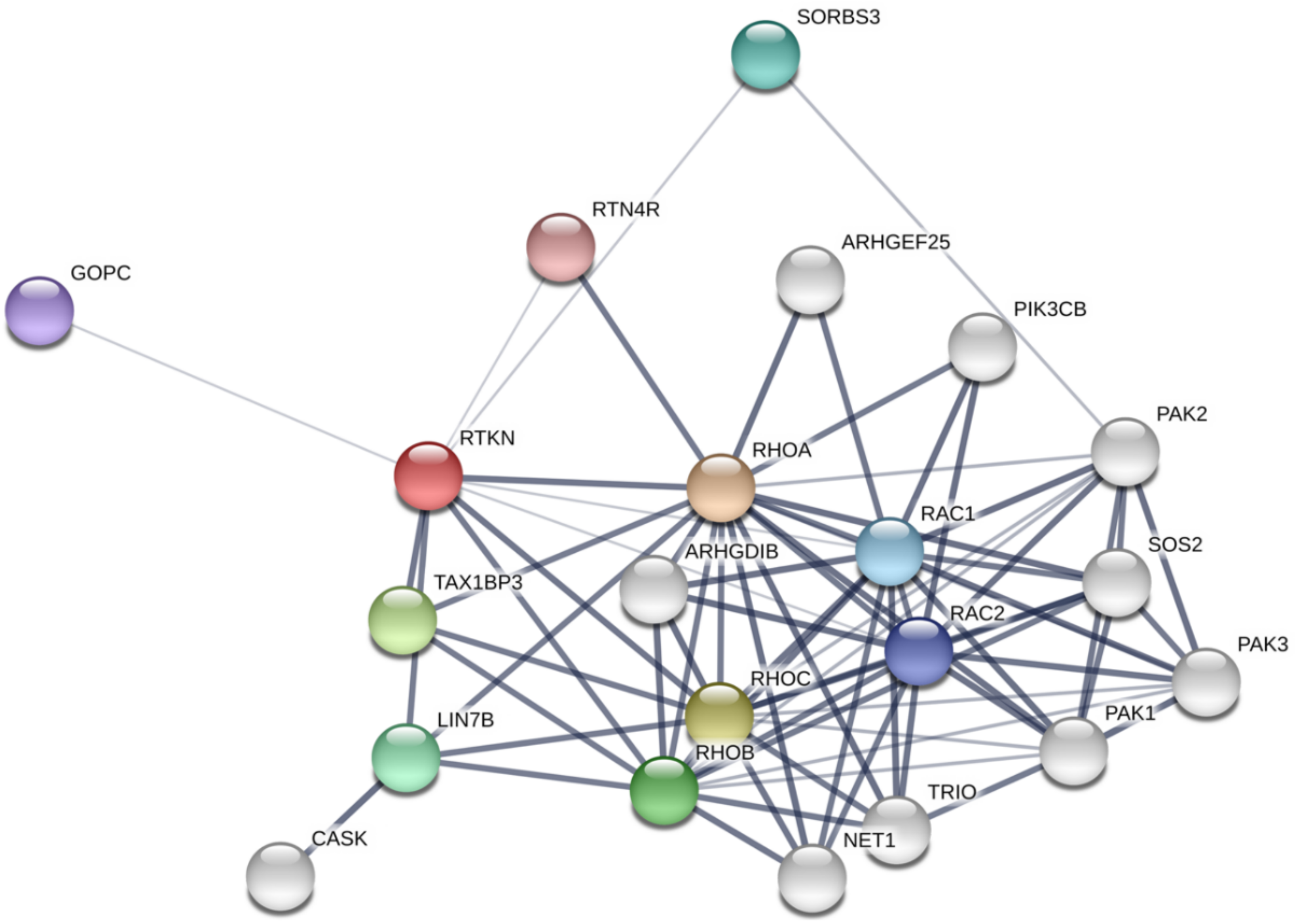 Ijms 19 02121 g004 Ijms 19 02121 g004