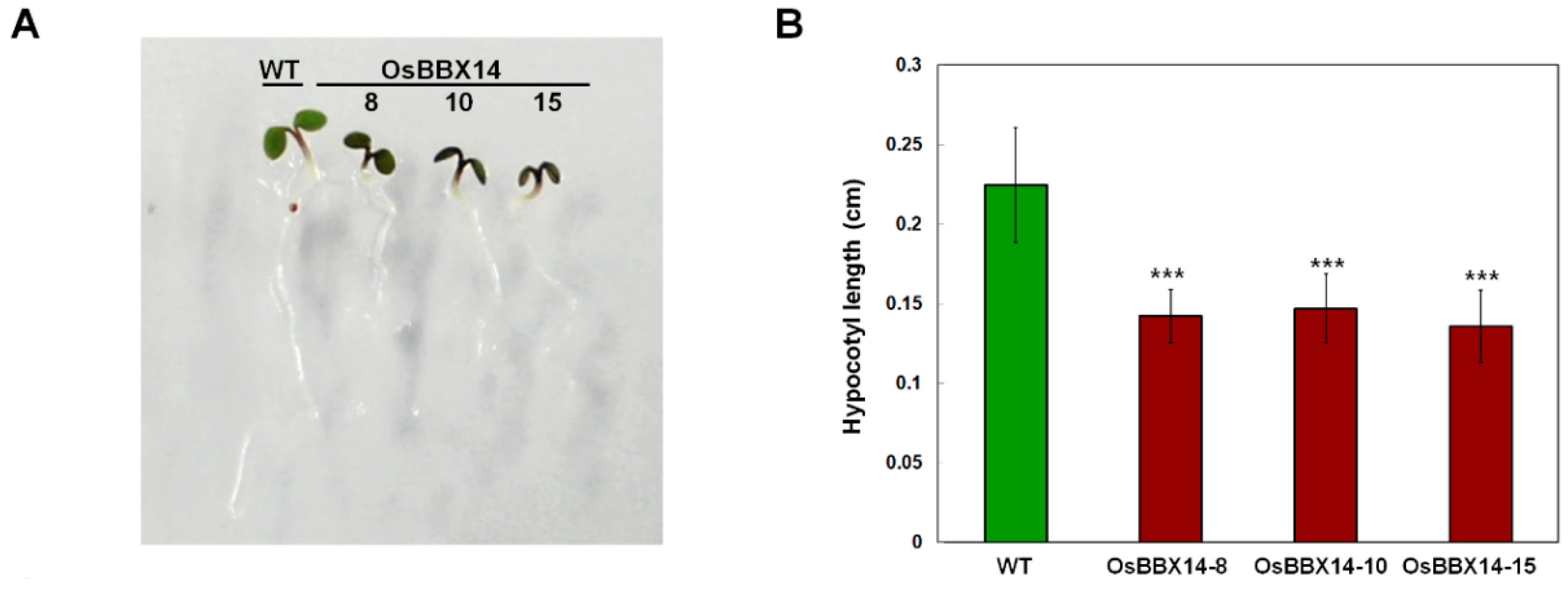 Ijms 19 02190 g005a Ijms 19 02190 g005a