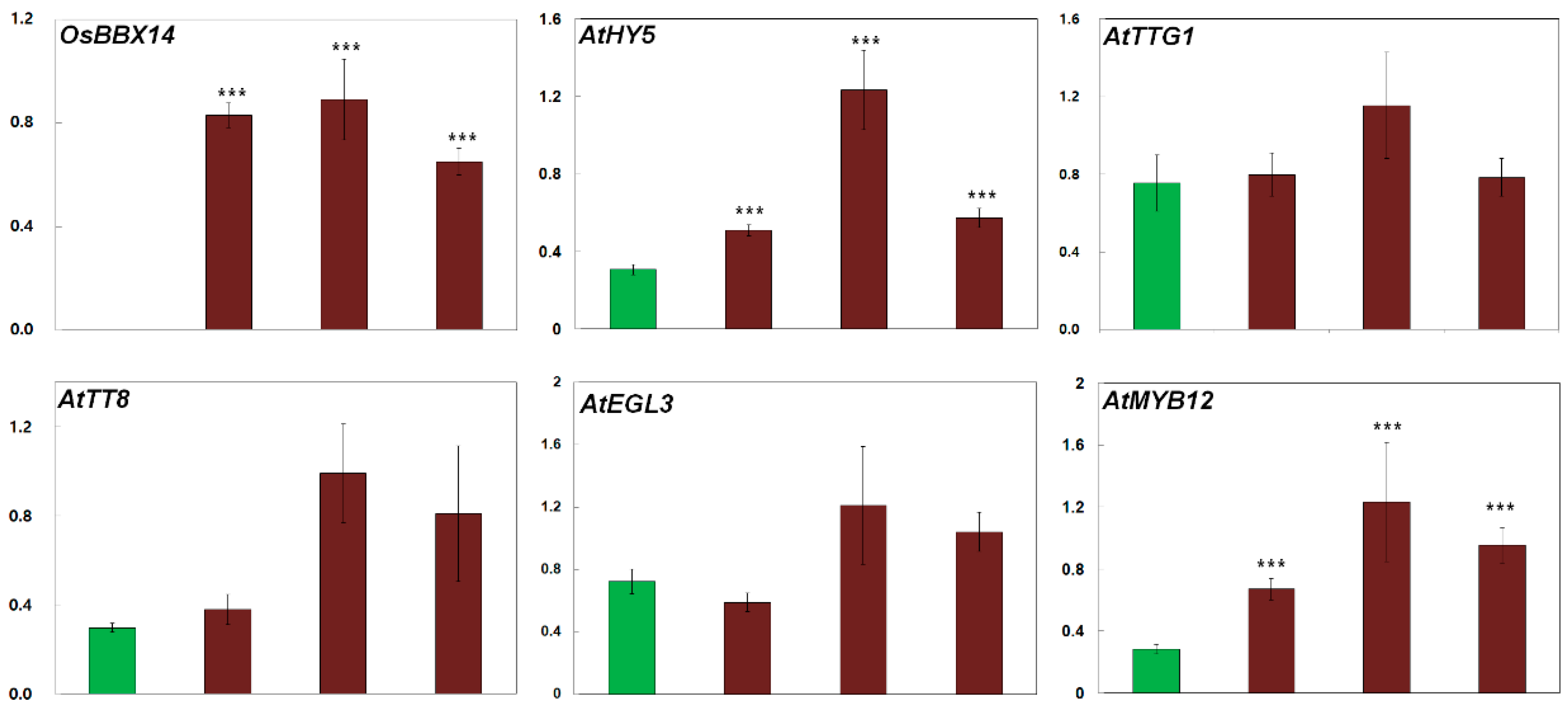 Ijms 19 02190 g006a Ijms 19 02190 g006a