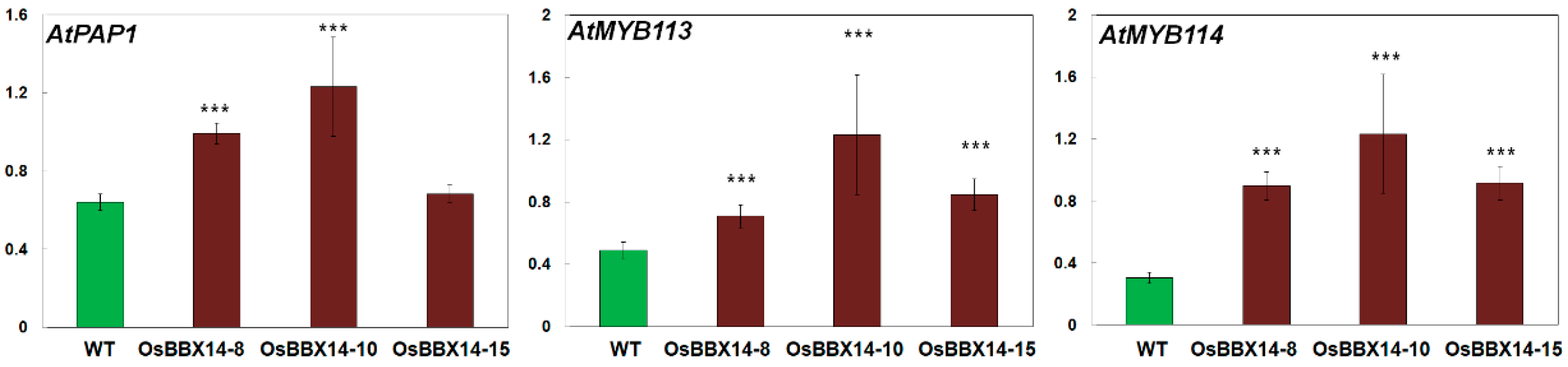 Ijms 19 02190 g006b Ijms 19 02190 g006b