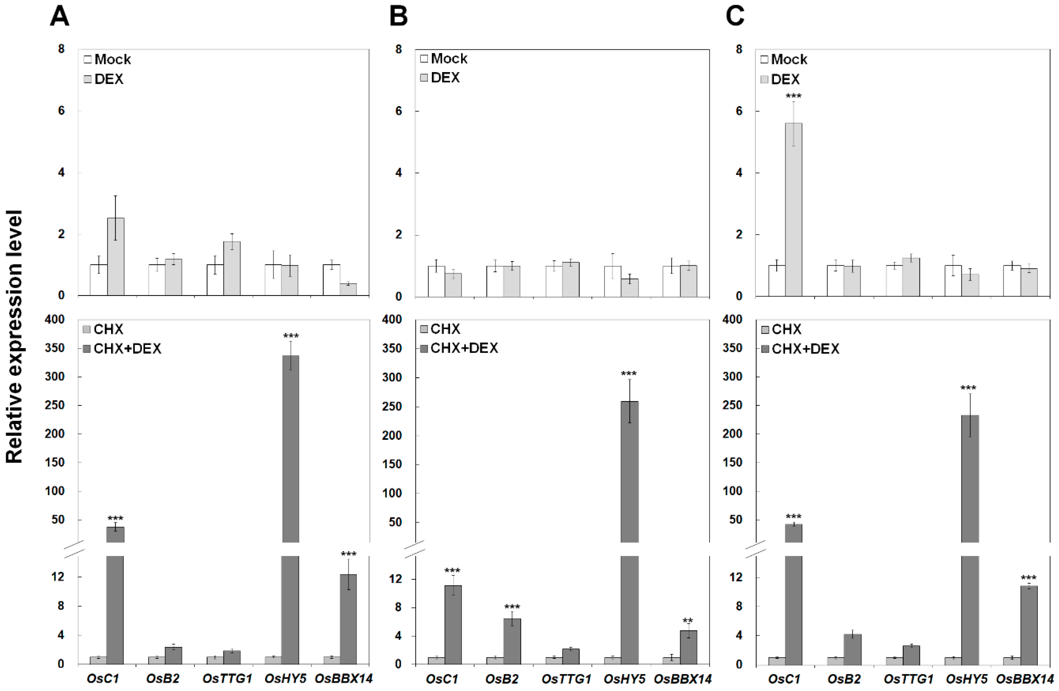 Ijms 19 02190 g007 Ijms 19 02190 g007