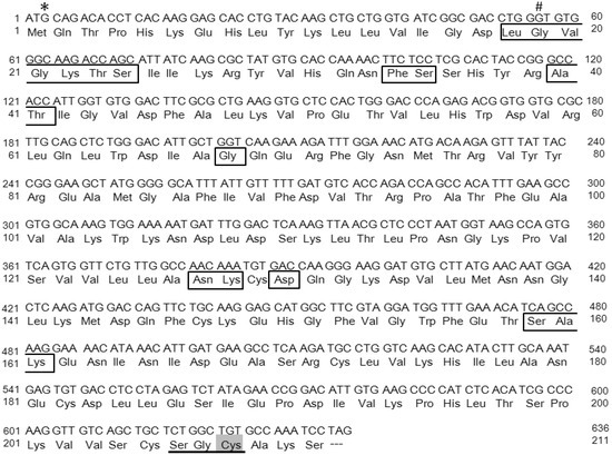 IJMS | Free Full-Text | Rab38 Mutation and the Lung Phenotype