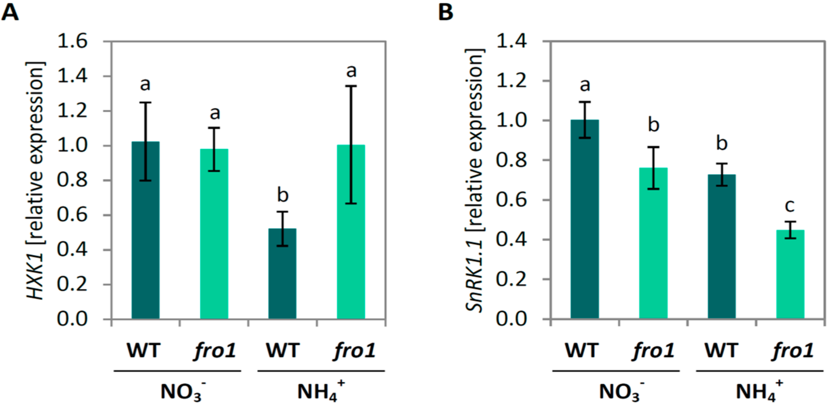 Ijms 19 02206 g009 Ijms 19 02206 g009
