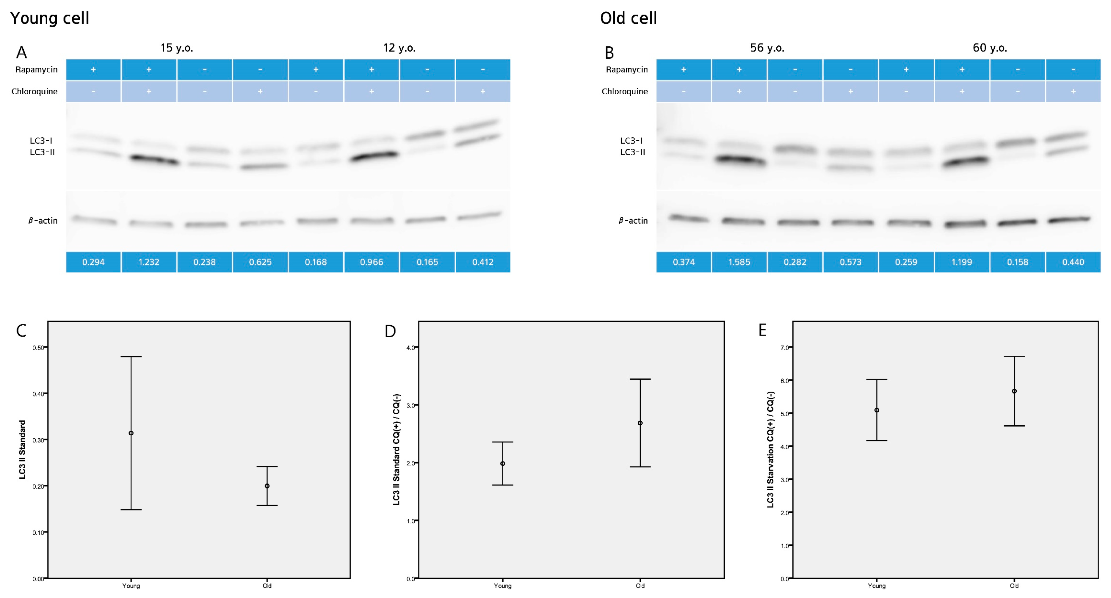 Ijms 19 02254 g004 Ijms 19 02254 g004