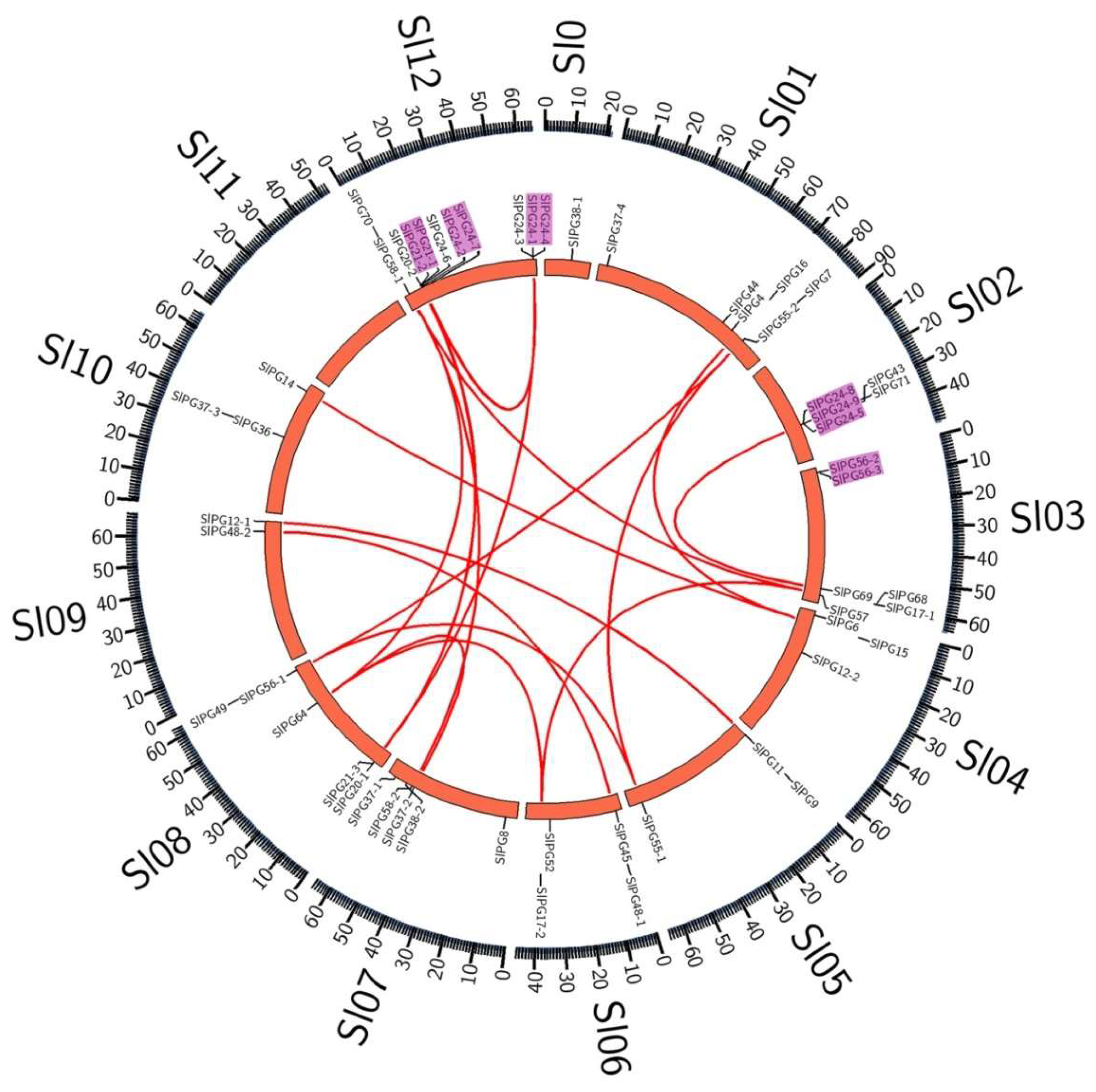 Ijms Free Full Text Genome Wide Identification And Analysis Of