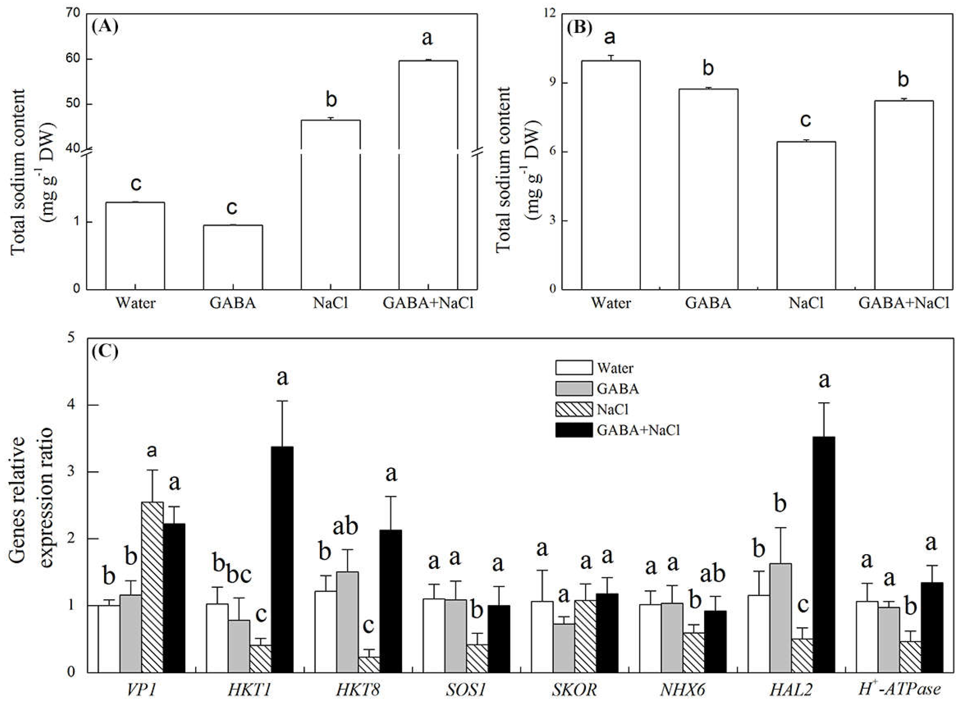 IJMS | Free Full-Text | The γ-Aminobutyric Acid (GABA) Alleviates Salt  Stress Damage during Seeds Germination of White Clover Associated with  Na+/K+ Transportation, Dehydrins Accumulation, and Stress-Related Genes  Expression in White Clover