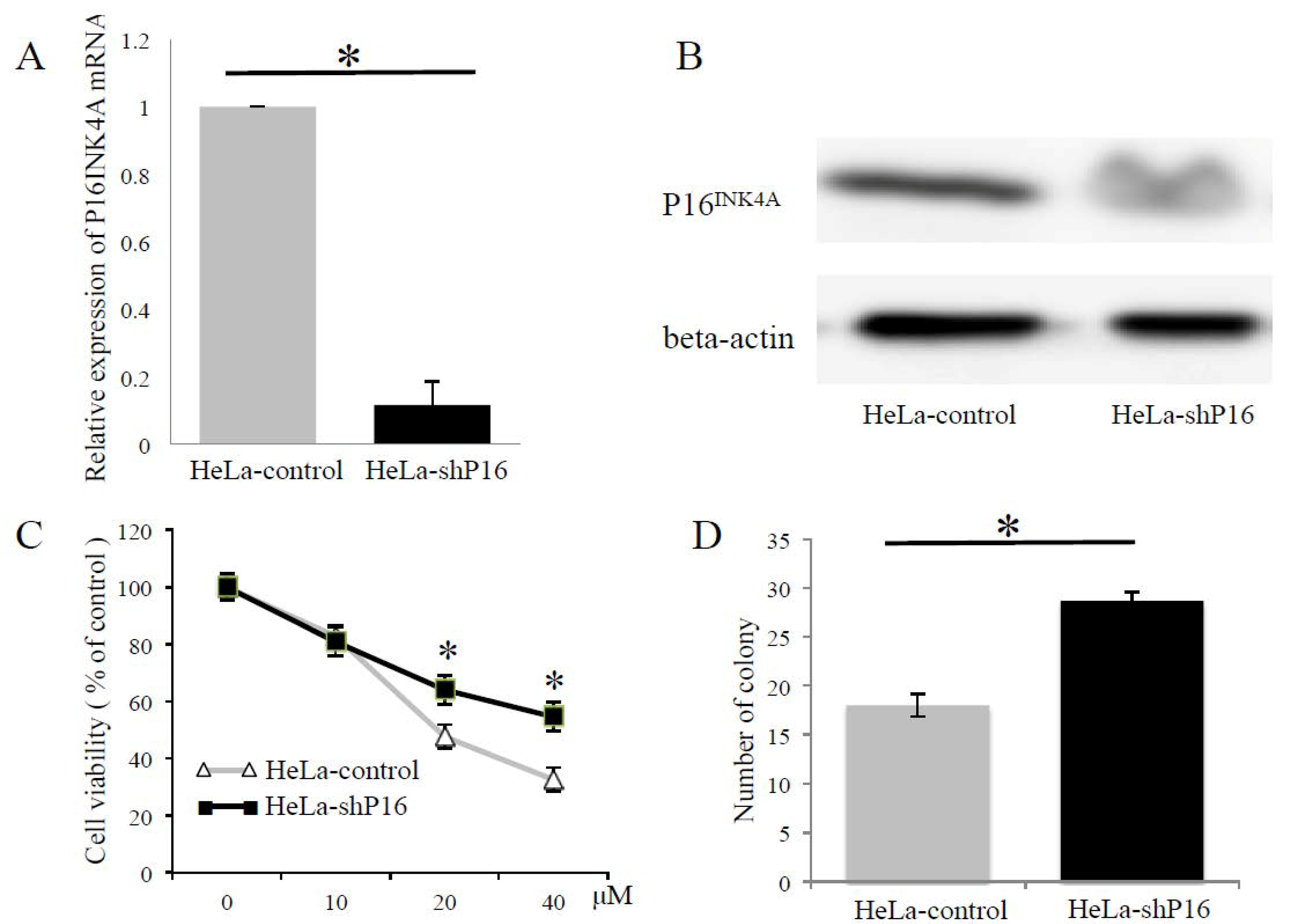 Ijms 19 02541 g004 Ijms 19 02541 g004