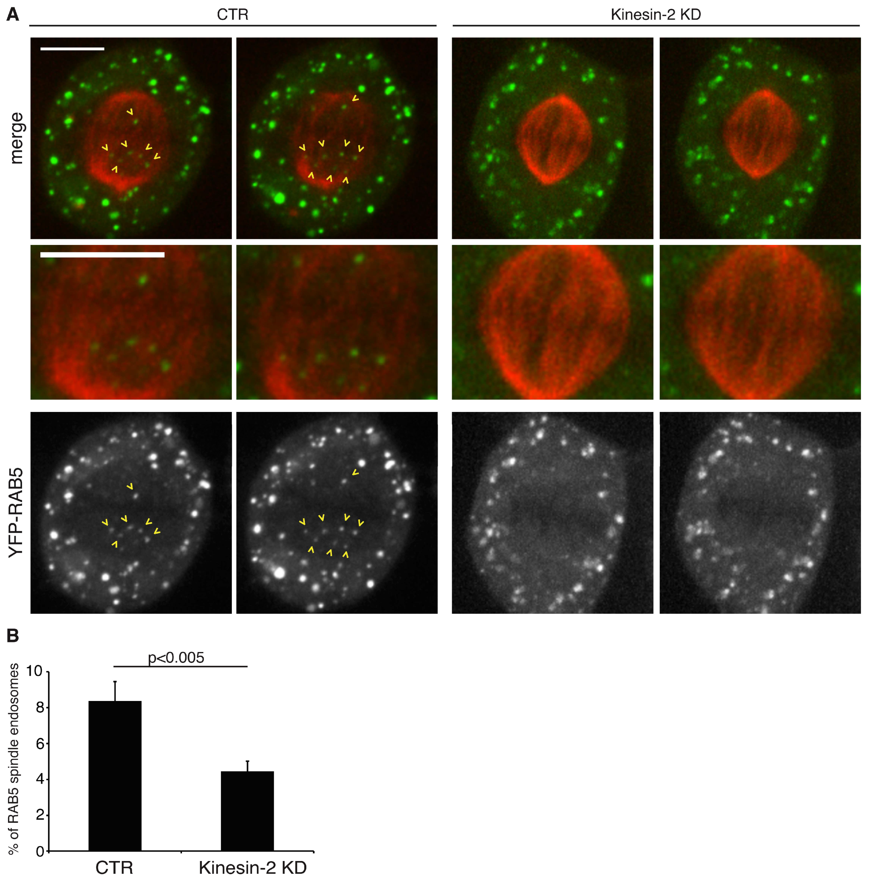 Ijms 19 02575 g002 Ijms 19 02575 g002