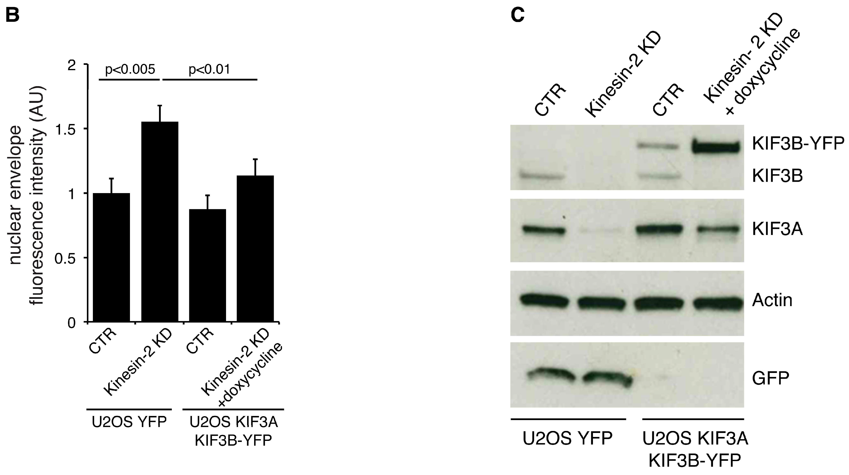Ijms 19 02575 g005b Ijms 19 02575 g005b