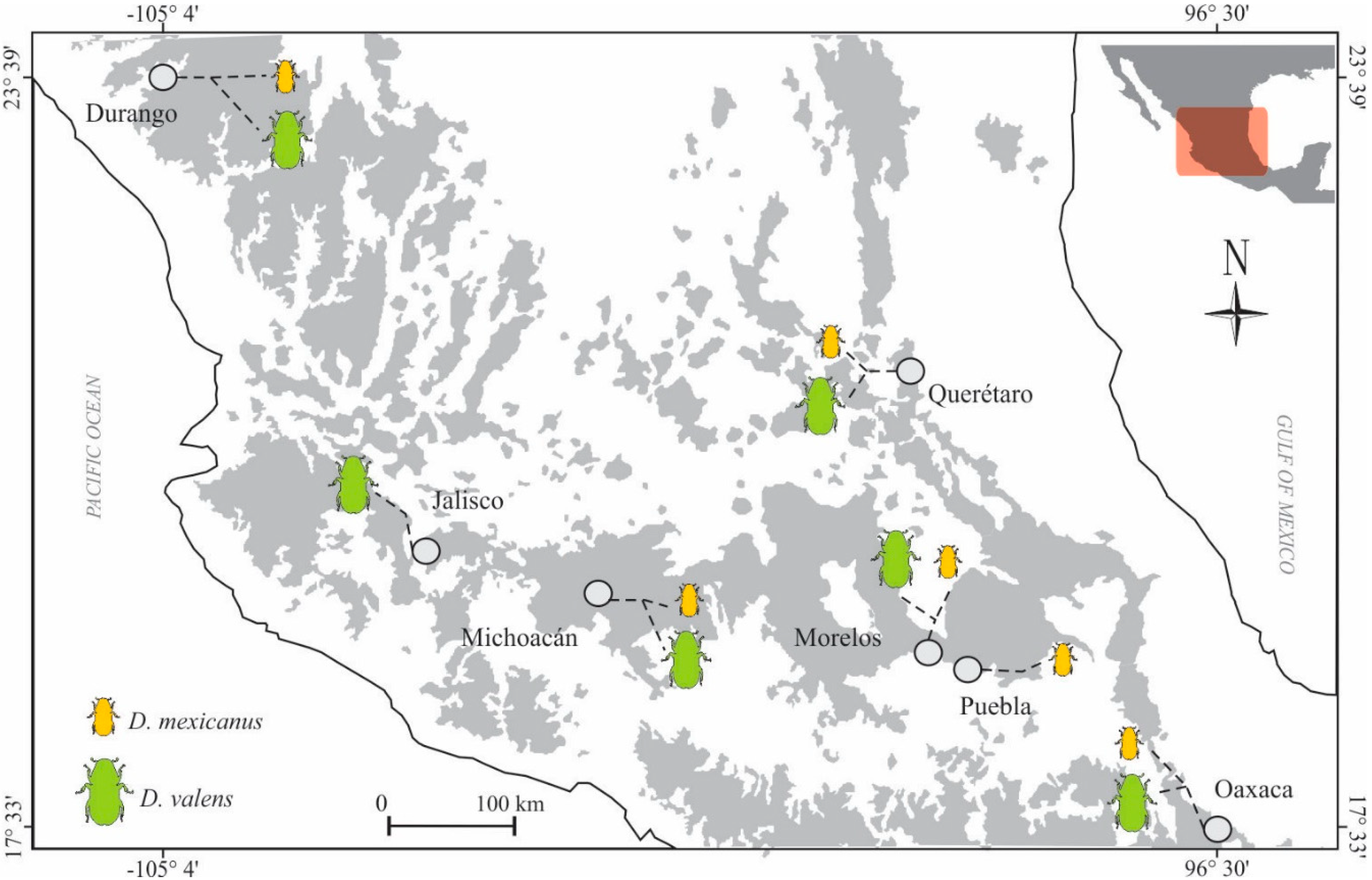Ijms 19 02578 g001 Ijms 19 02578 g001