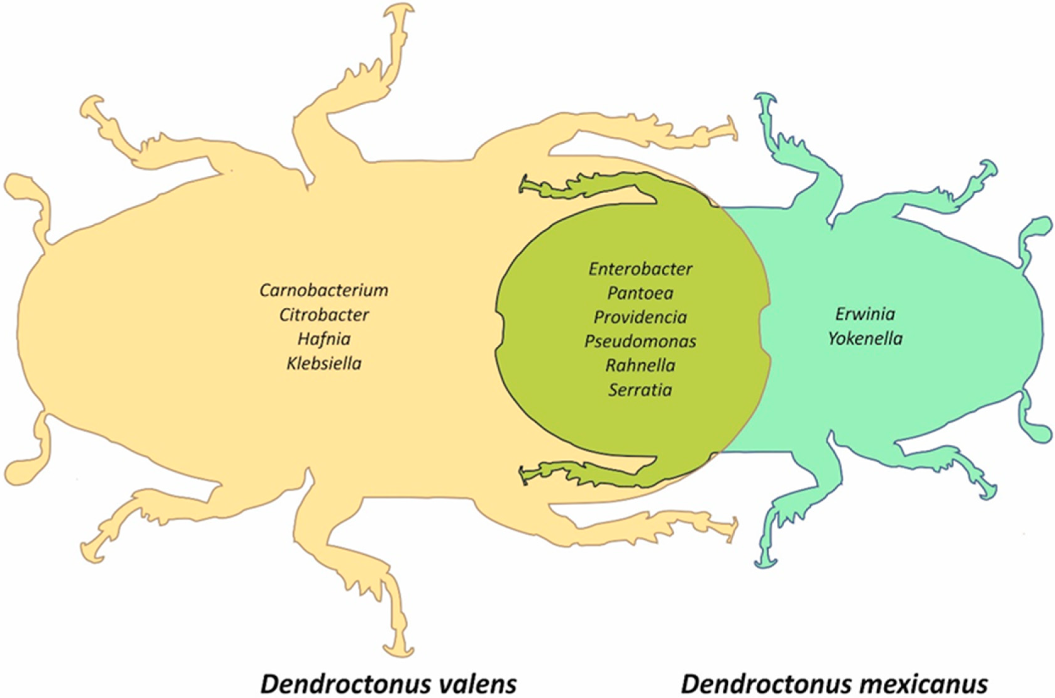 Ijms 19 02578 g004 Ijms 19 02578 g004