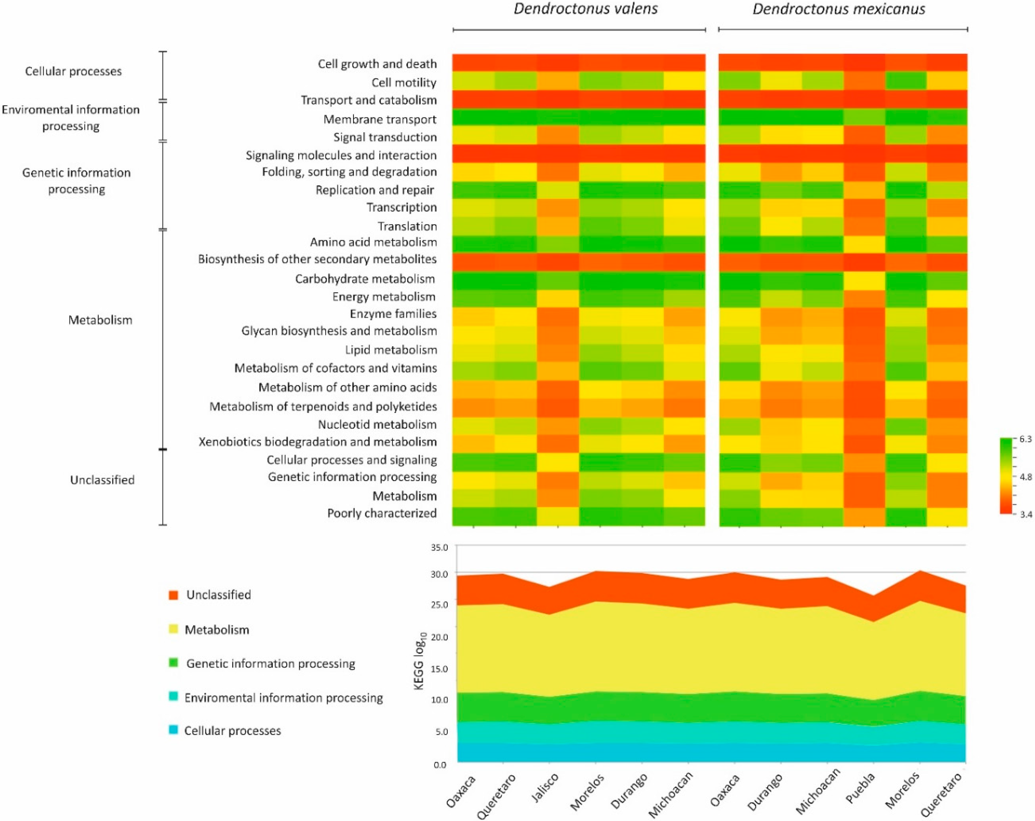 Ijms 19 02578 g006 Ijms 19 02578 g006