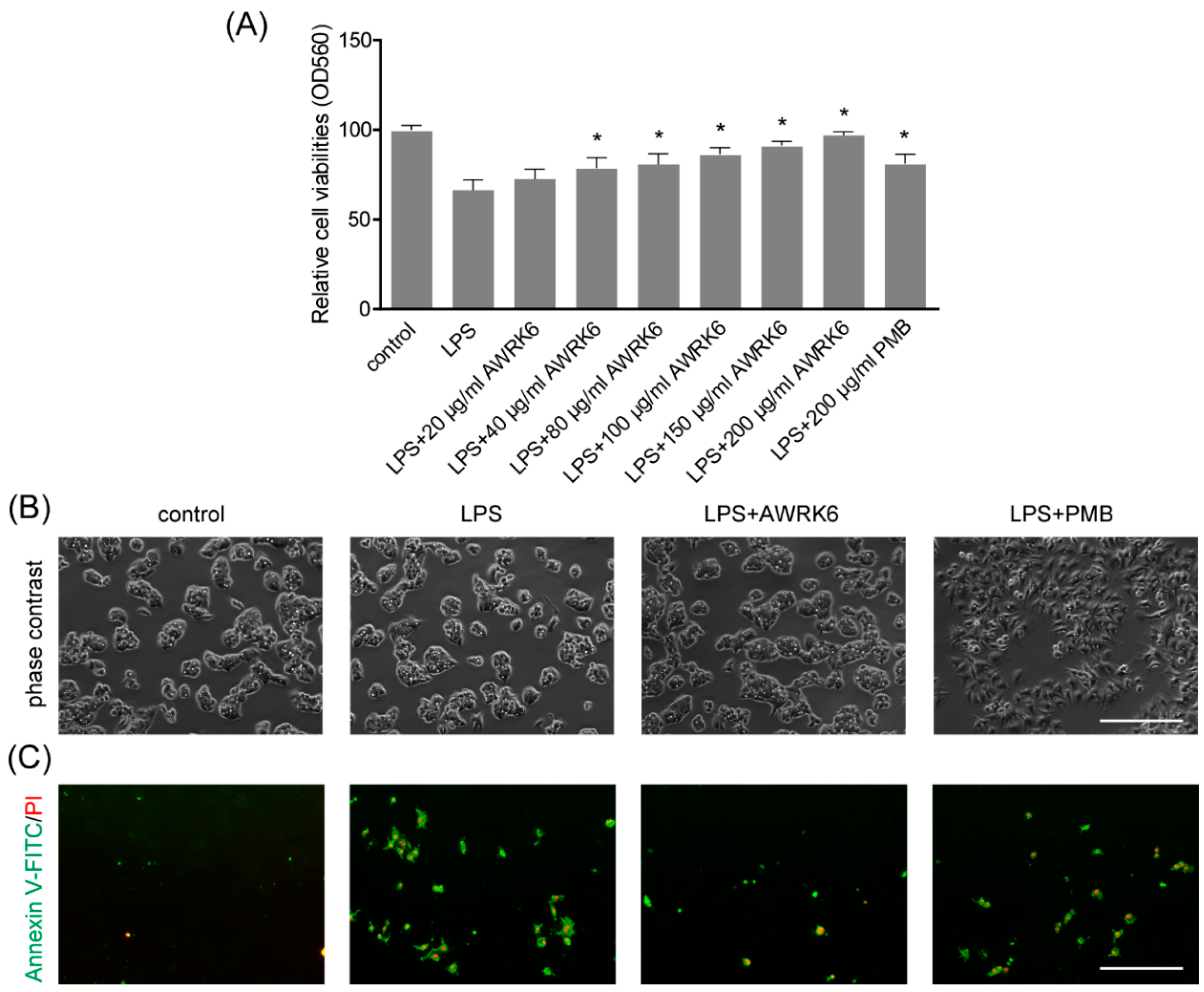 IJMS | Free Full-Text | A Synthetic Peptide AWRK6 Alleviates  Lipopolysaccharide-Induced Liver Injury | HTML