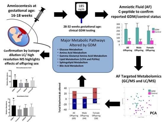 Ijms Free Full Text Gestational Diabetes Alters The Metabolomic