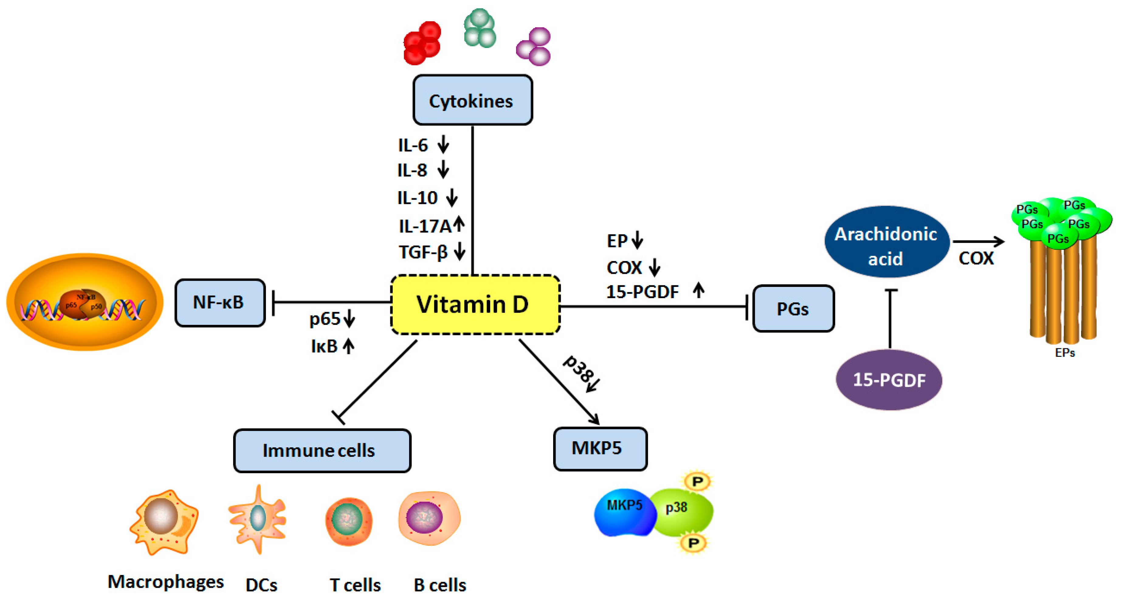 IJMS | Free Full-Text | The Anti-Inflammatory Effects of Vitamin D in  Tumorigenesis
