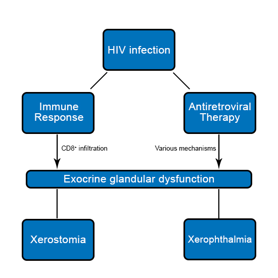 Ijms Free Full Text Contribution Of Hiv Infection Aids And