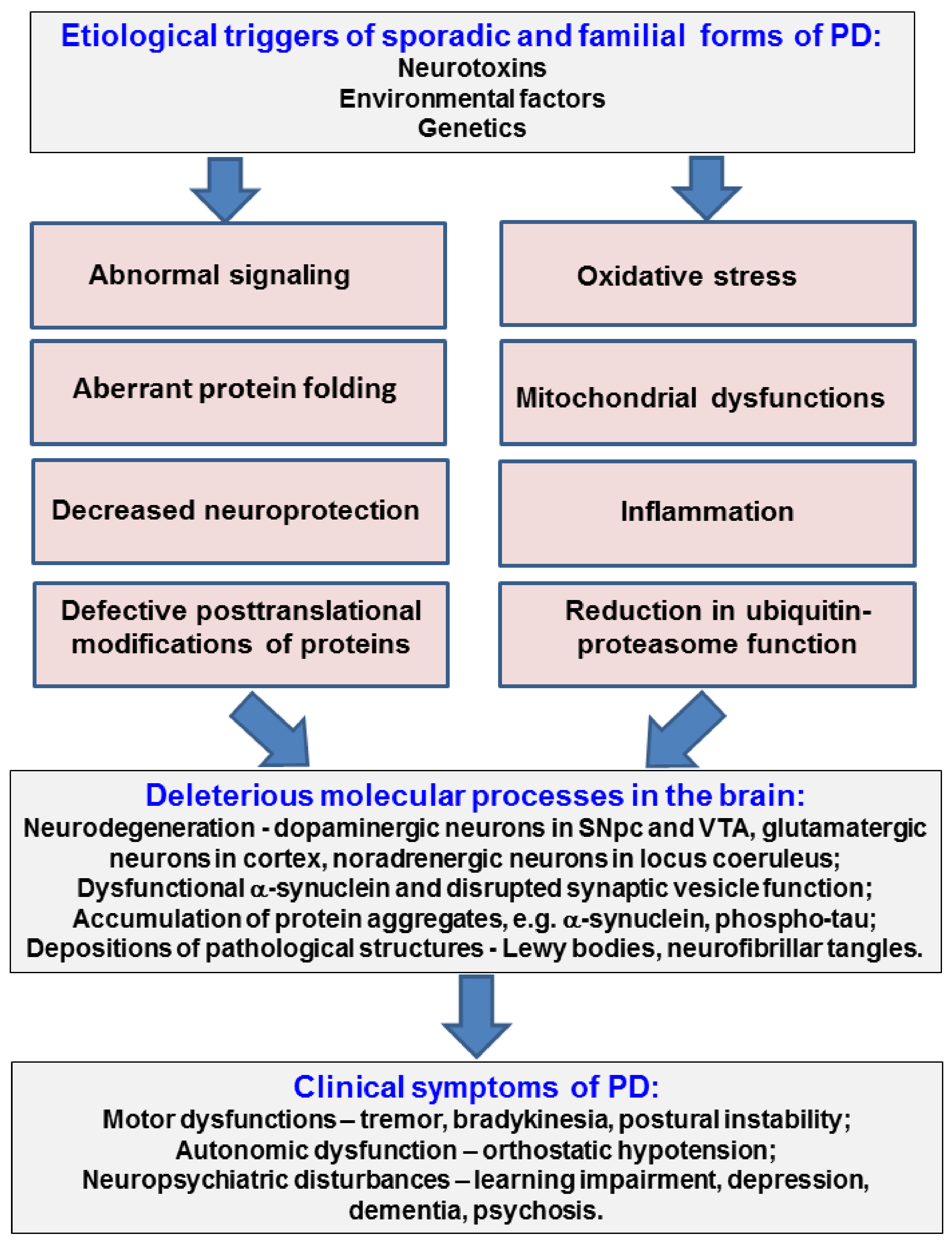 Ijms 19 02973 g001 Ijms 19 02973 g001