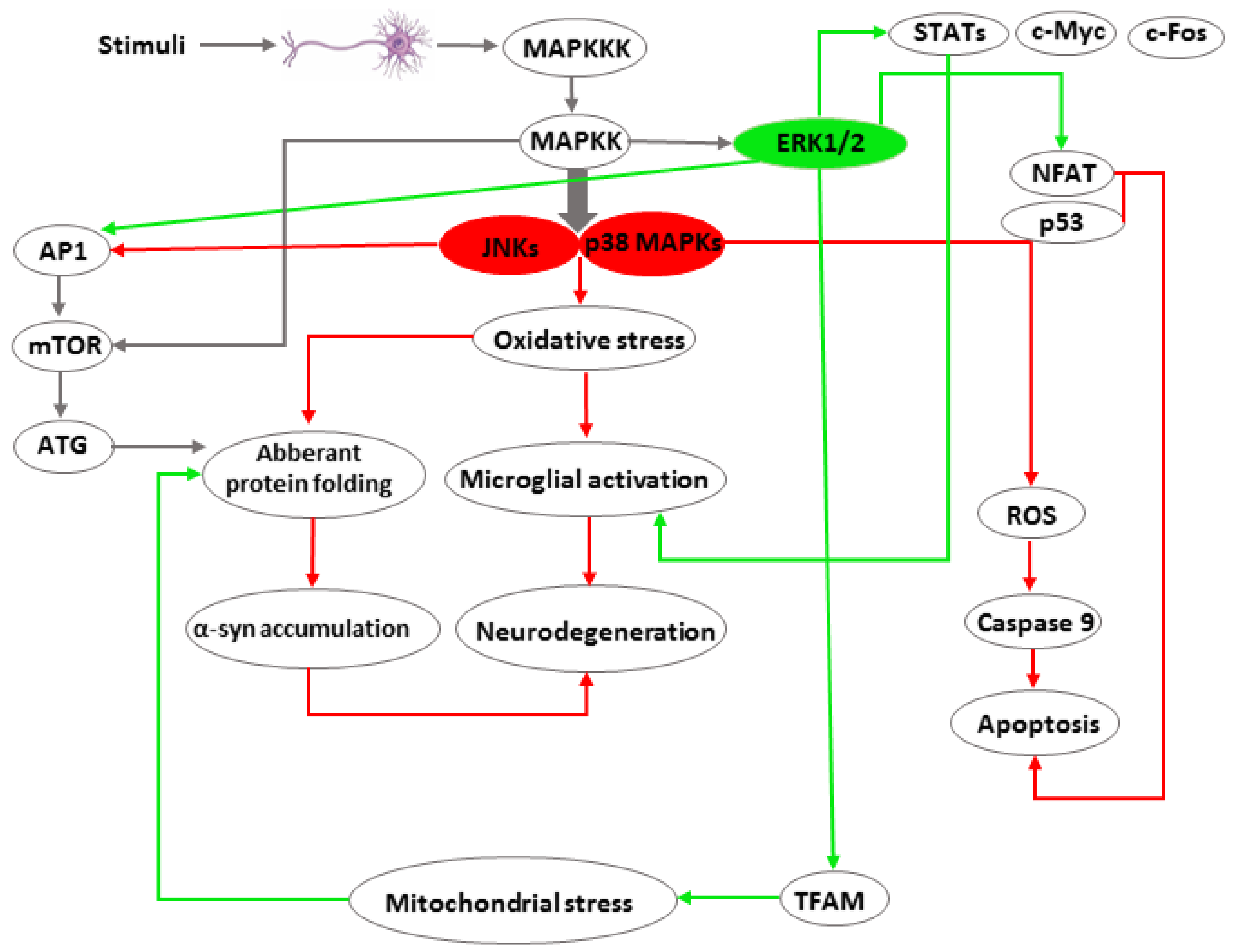 Ijms 19 02973 g002 Ijms 19 02973 g002