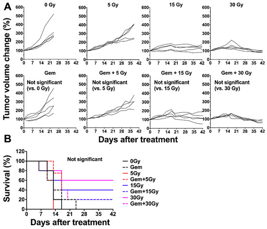 Ijms Free Full Text Efficacy Evaluation Of Combination Treatment Using Gemcitabine And Radioimmunotherapy With 90y Labeled Fully Human Anti Cd147 Monoclonal Antibody 059 053 In A Bxpc 3 Xenograft Mouse Model Of Refractory Pancreatic Cancer