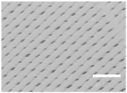 Ijms 19 03148 i001 Ijms 19 03148 i001