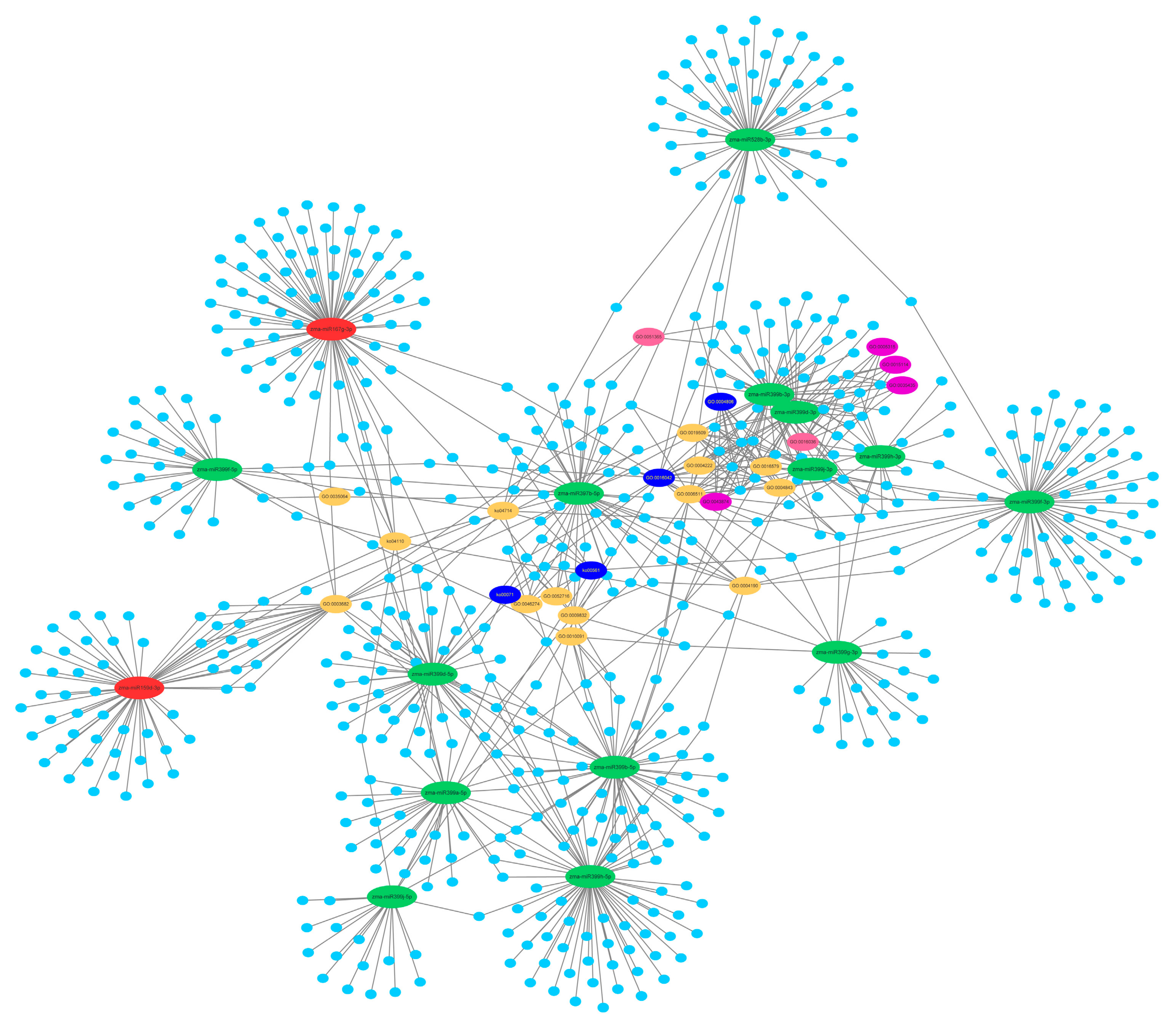 Ijms 19 03201 g007 Ijms 19 03201 g007