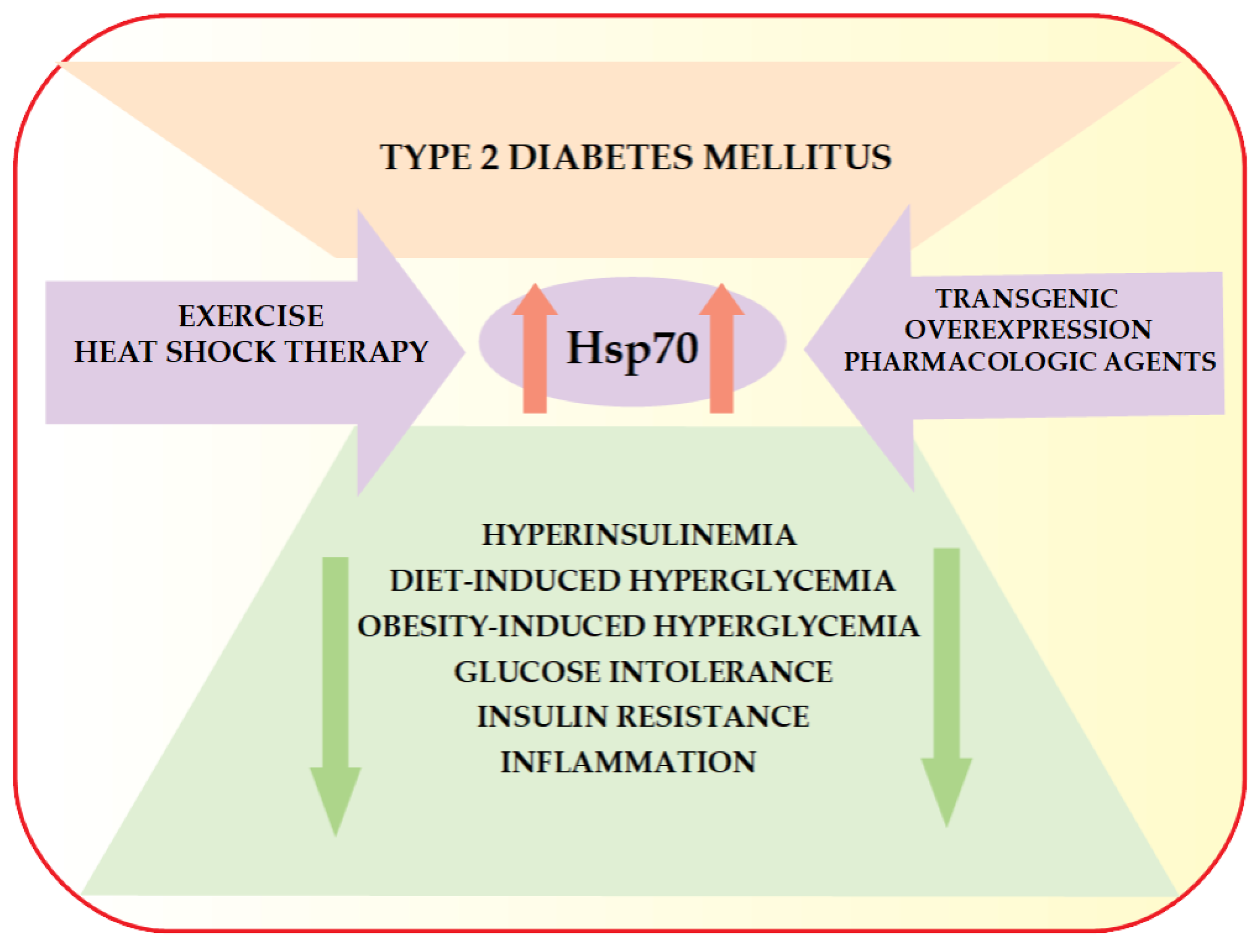 IJMS | Free Full-Text | Heat Shock Proteins as a Potential Therapeutic ...