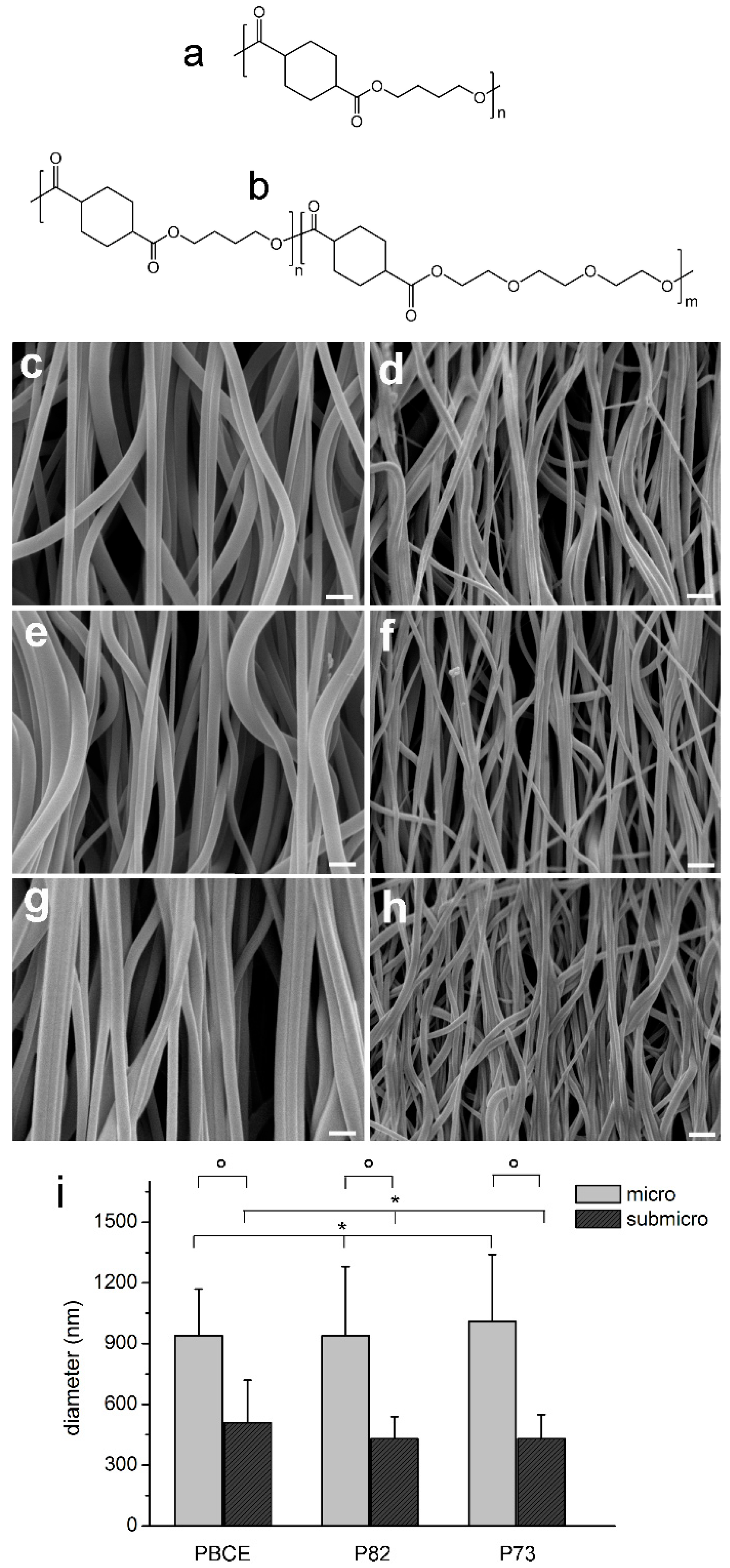 Ijms Free Full Text Ether Oxygen Containing Electrospun Microfibrous And Sub Microfibrous Scaffolds Based On Poly Butylene 1 4 Cyclohexanedicarboxylate For Skeletal Muscle Tissue Engineering Html