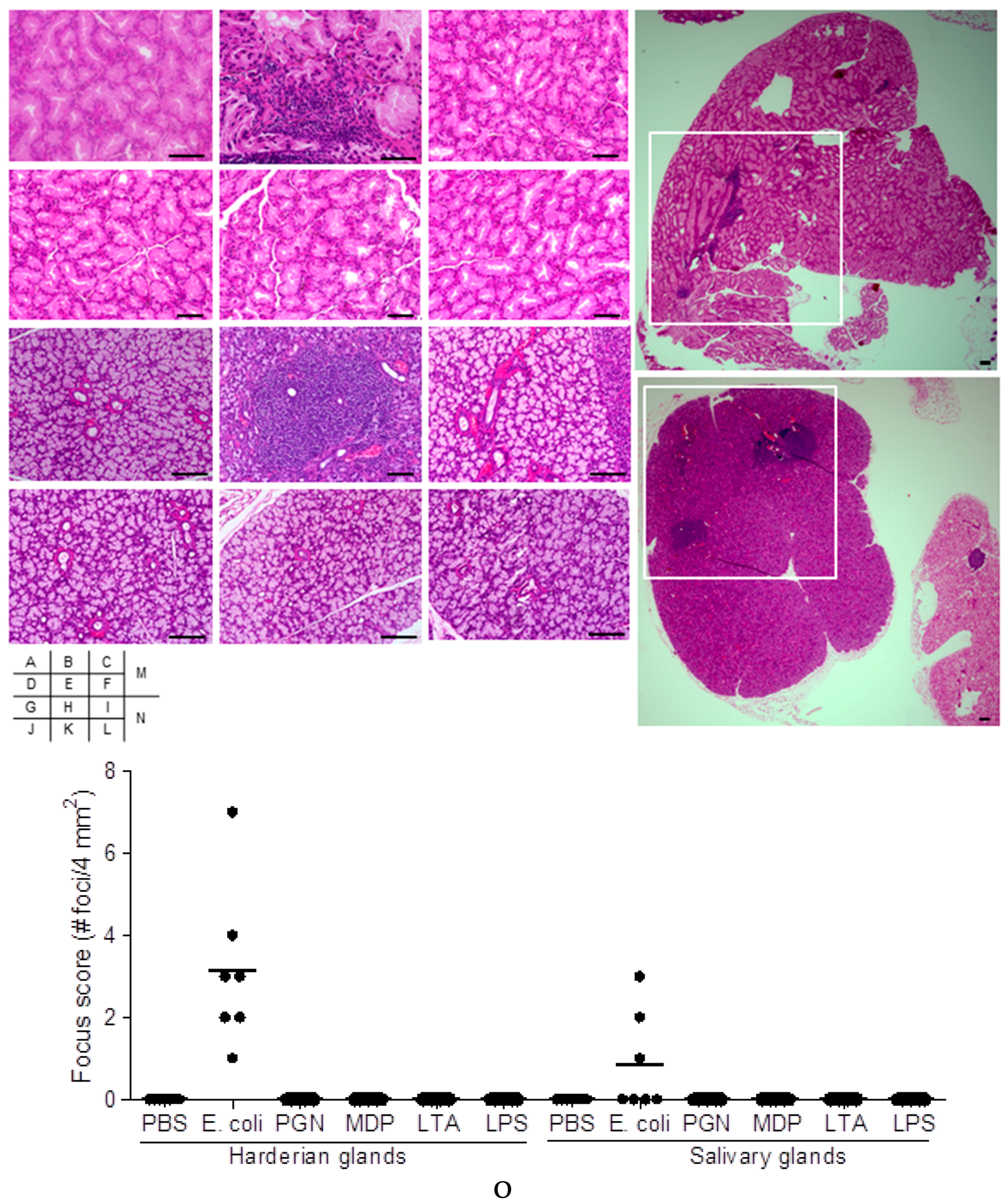 Ijms 19 03241 g001 Ijms 19 03241 g001