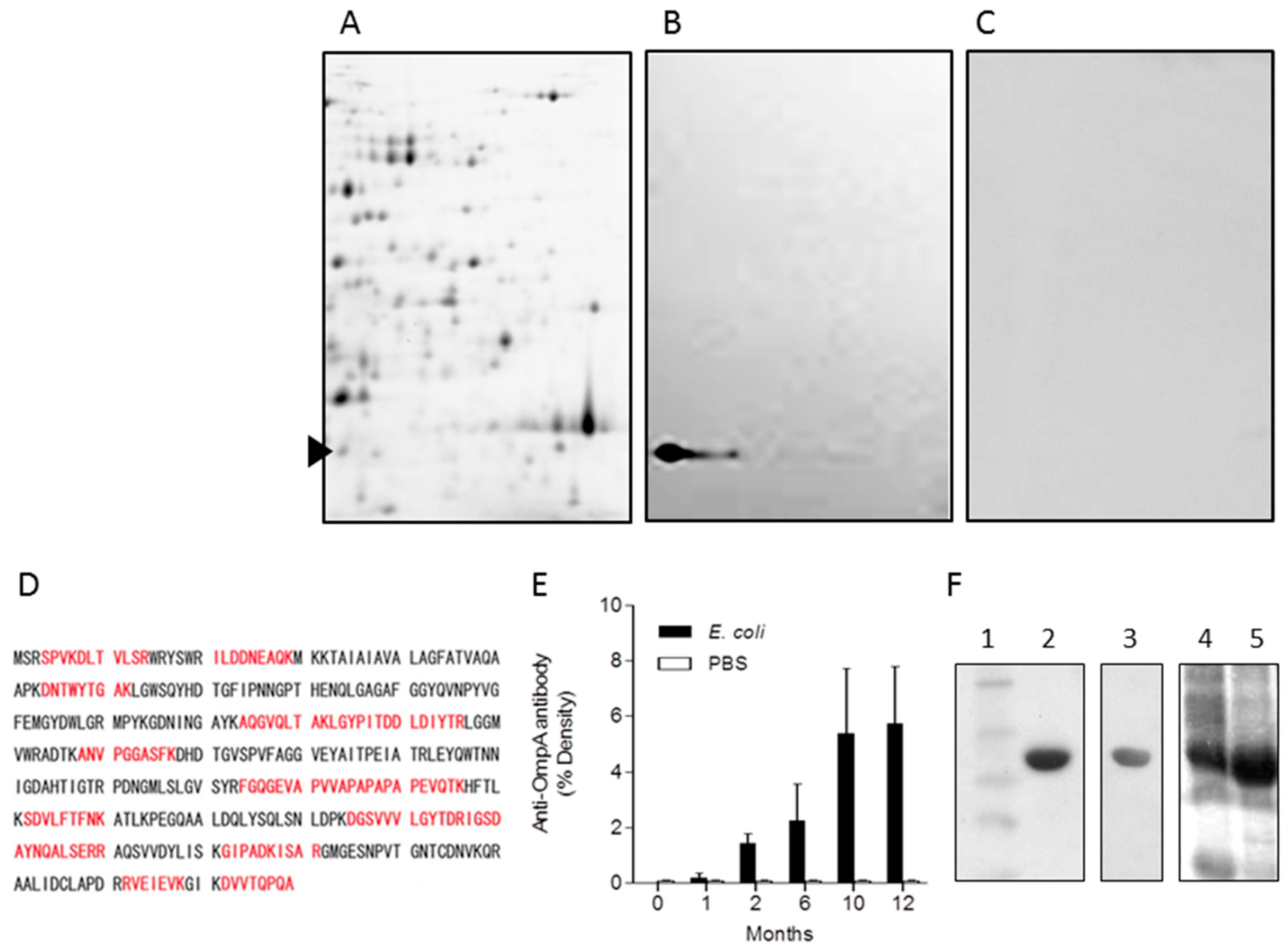 Ijms 19 03241 g003 Ijms 19 03241 g003