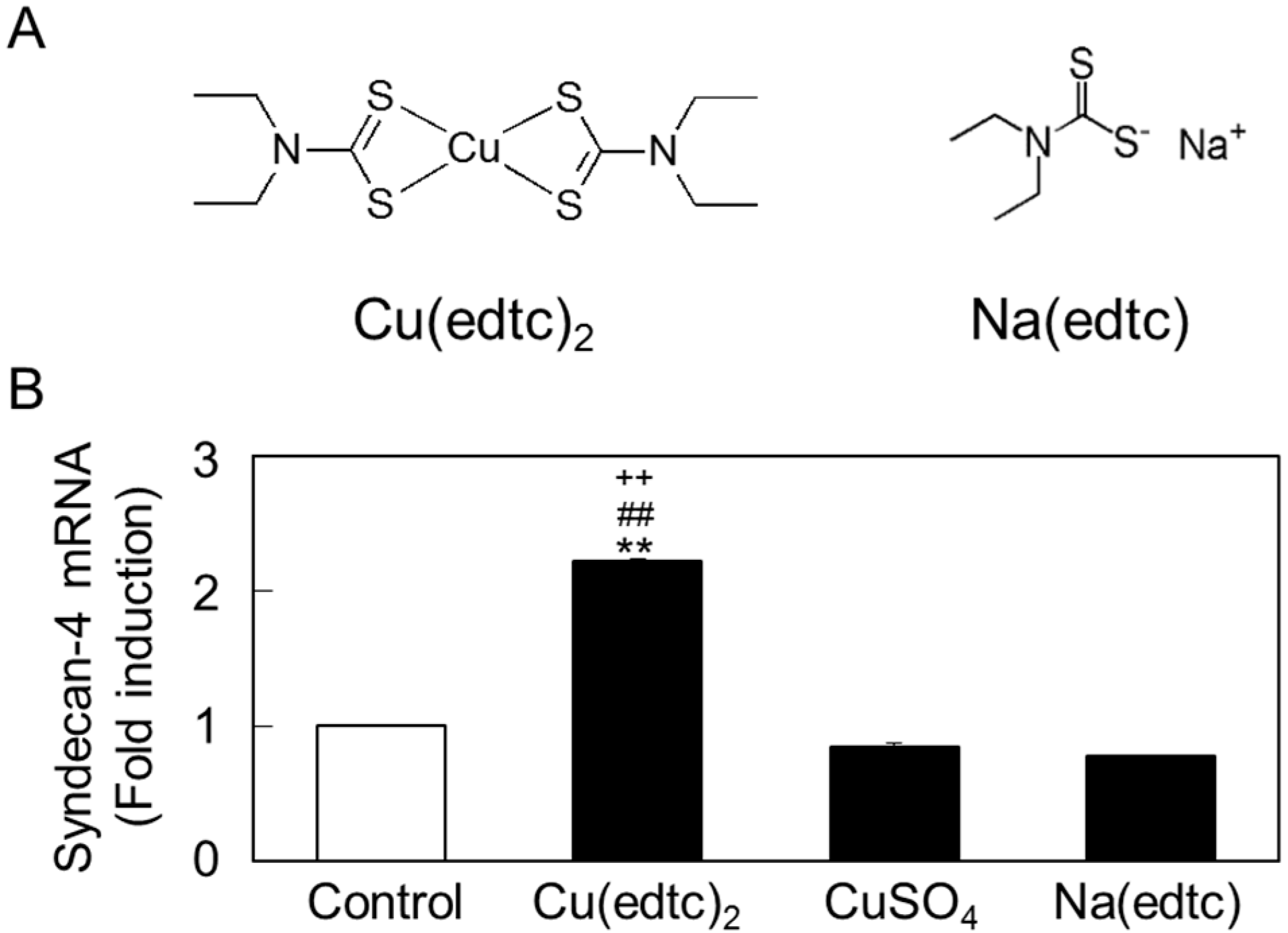 Ijms 19 03302 g003 Ijms 19 03302 g003